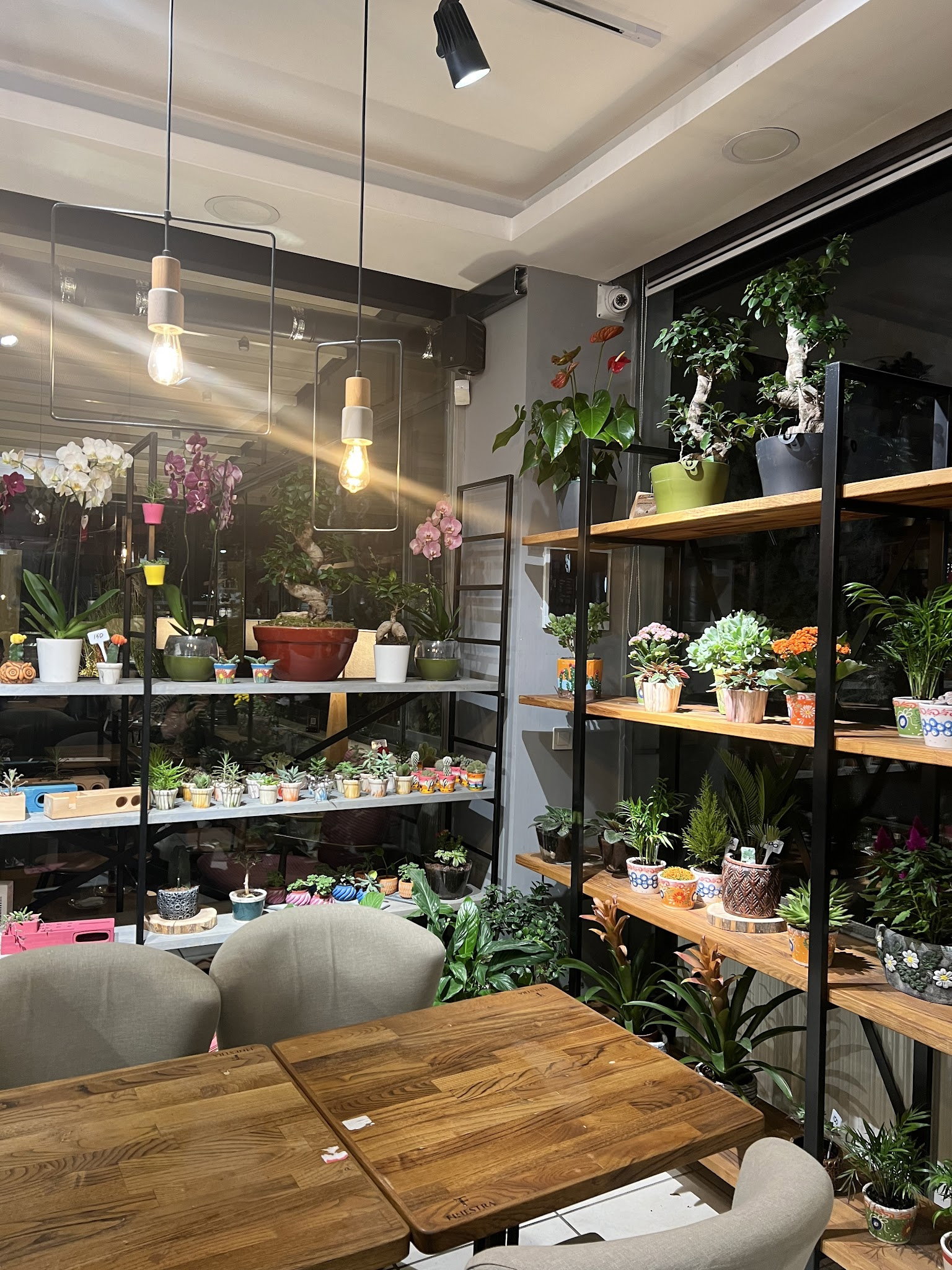 Finestra Cafe