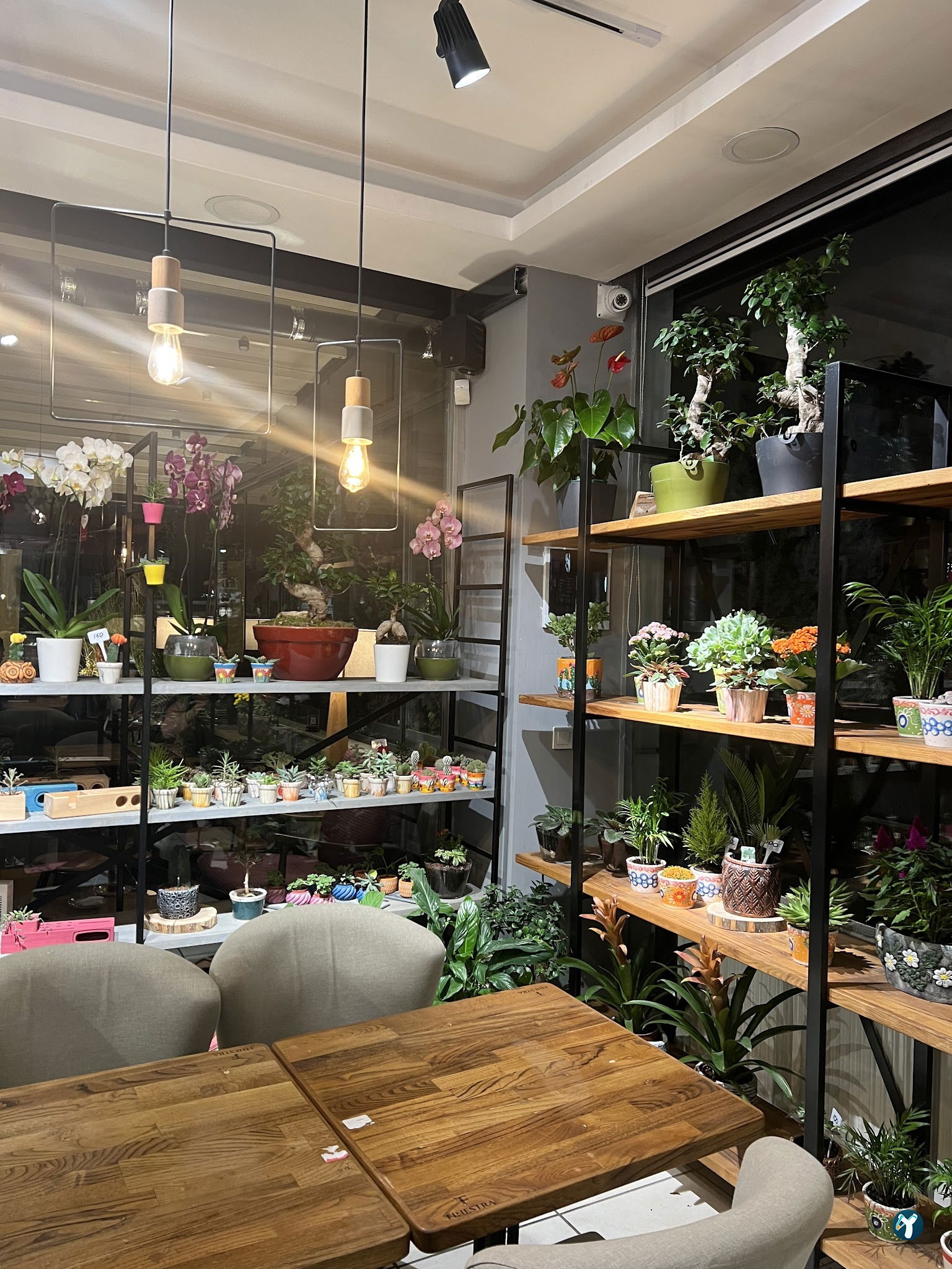 Finestra Cafe