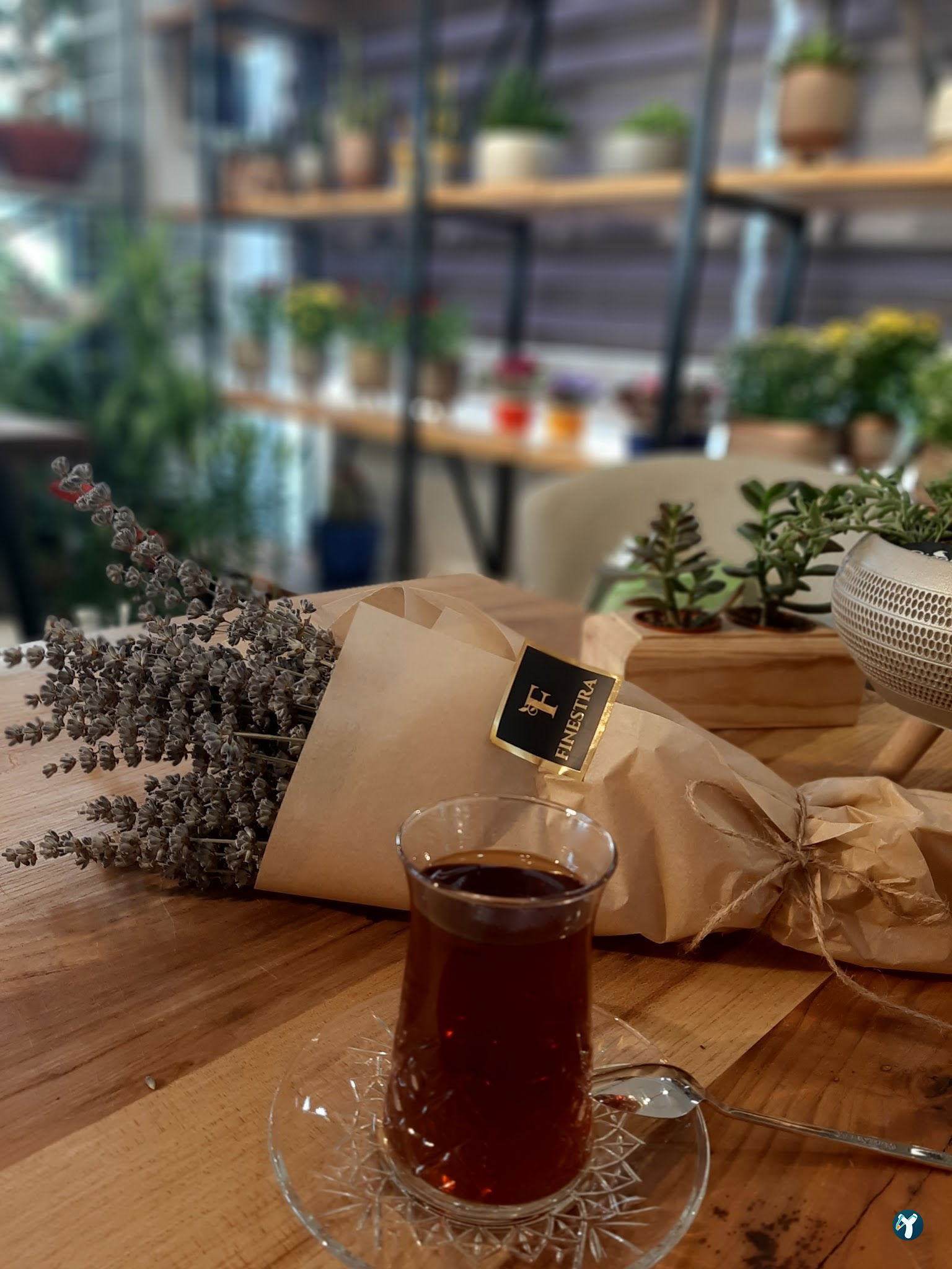 Finestra Cafe