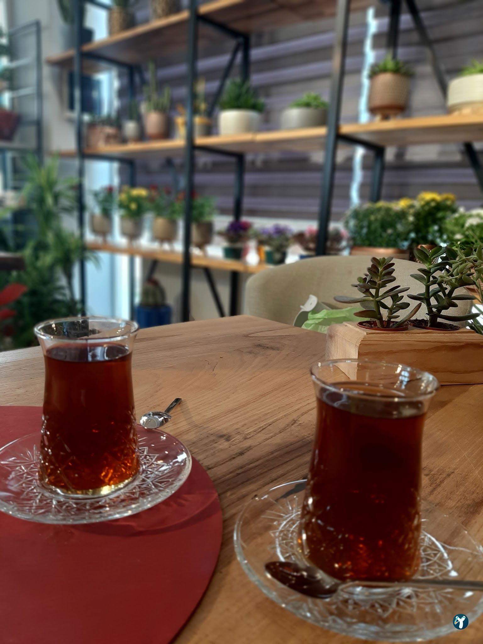 Finestra Cafe
