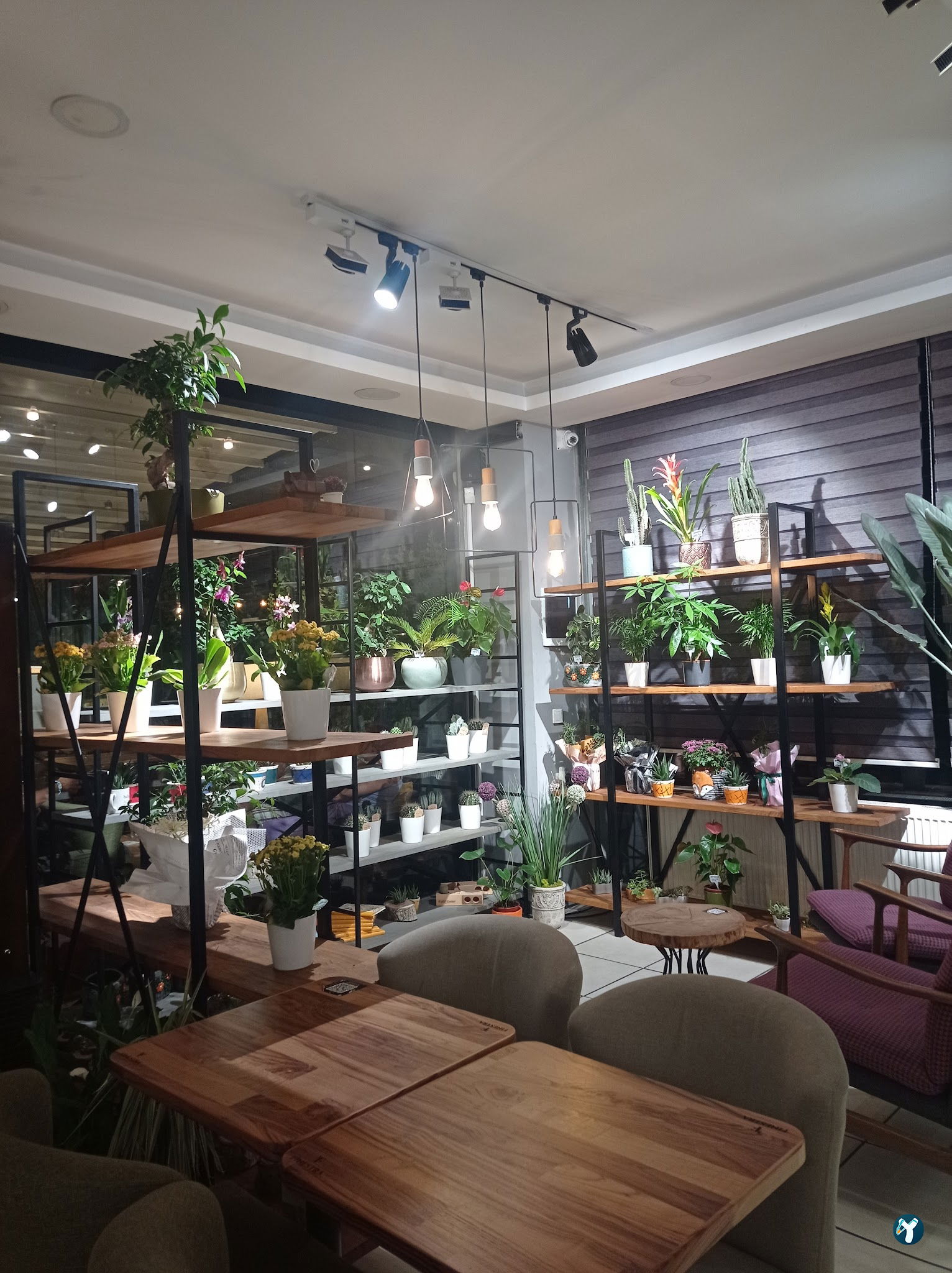 Finestra Cafe