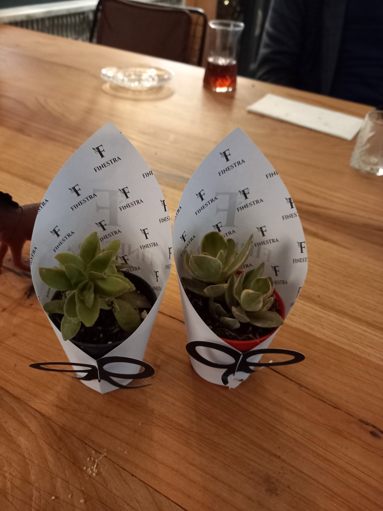 Finestra Cafe