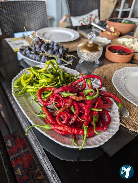 SAMAN EVİM ÇİFTLİĞİ