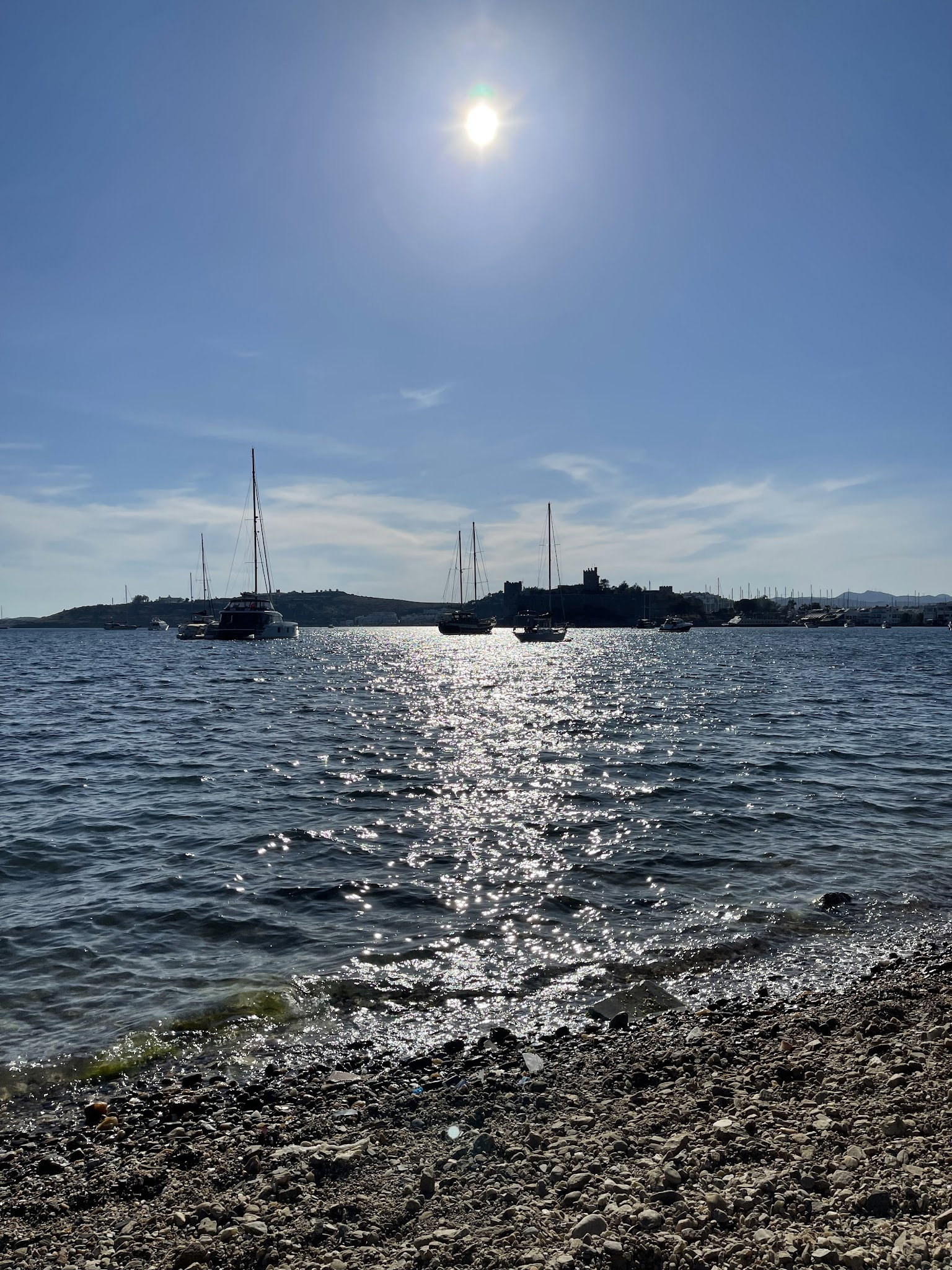 Leman Kultur Bistro