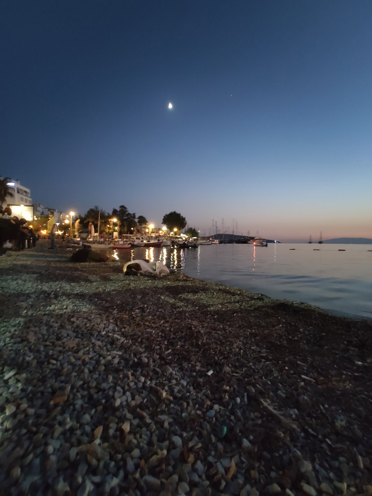 Leman Kultur Bistro