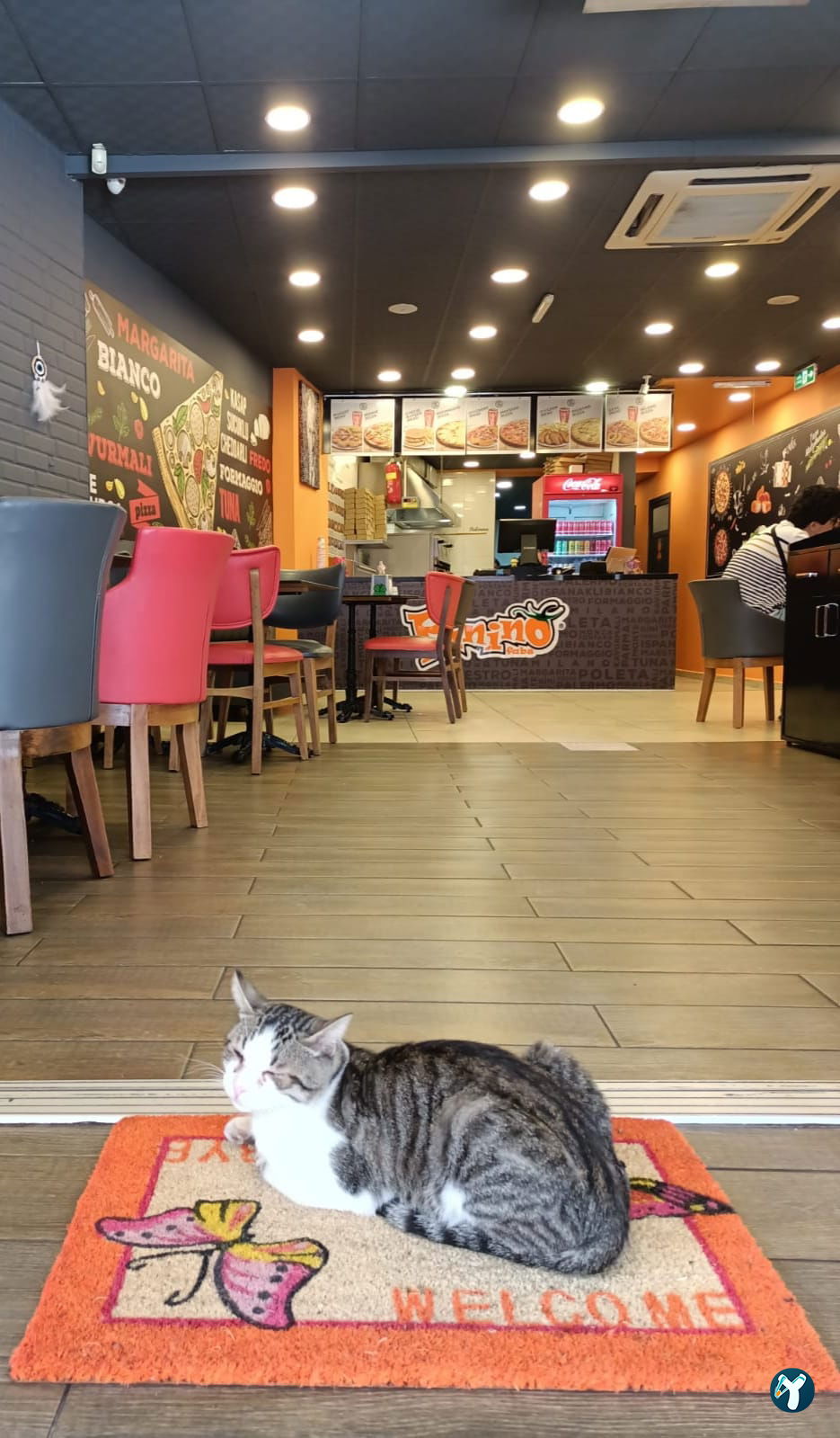 Panino Pizza Bornova