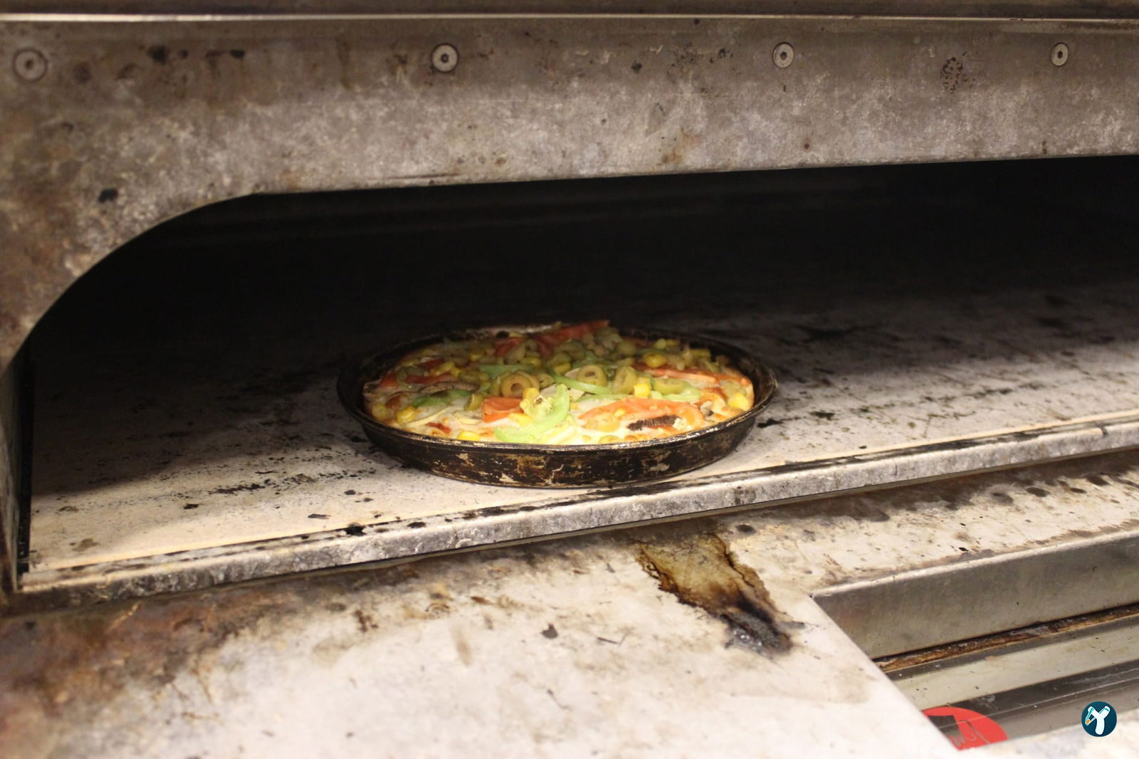 Panino Pizza Bornova