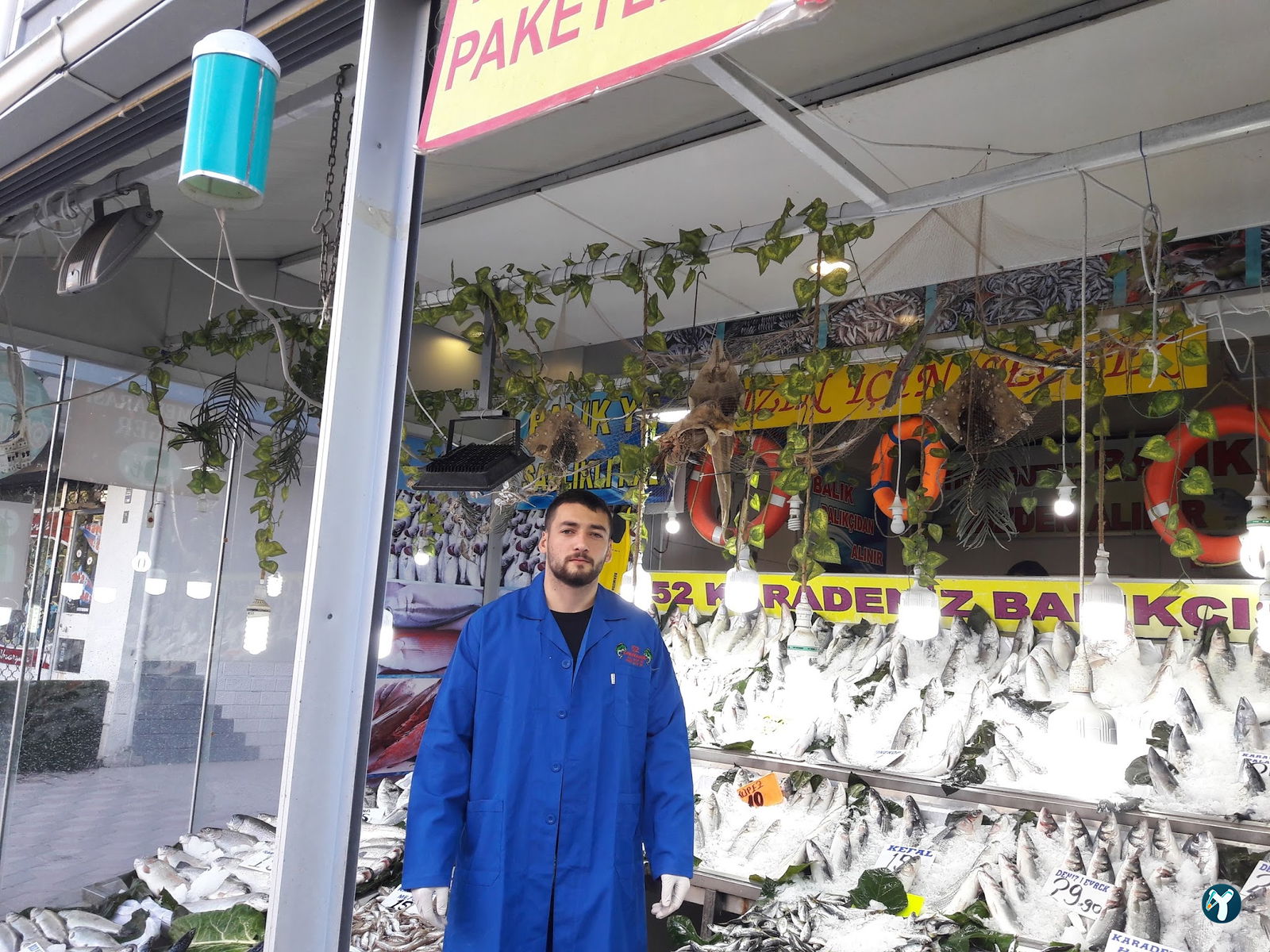 52 Karadeniz Balık Lokantası - Balık Satış - Manav