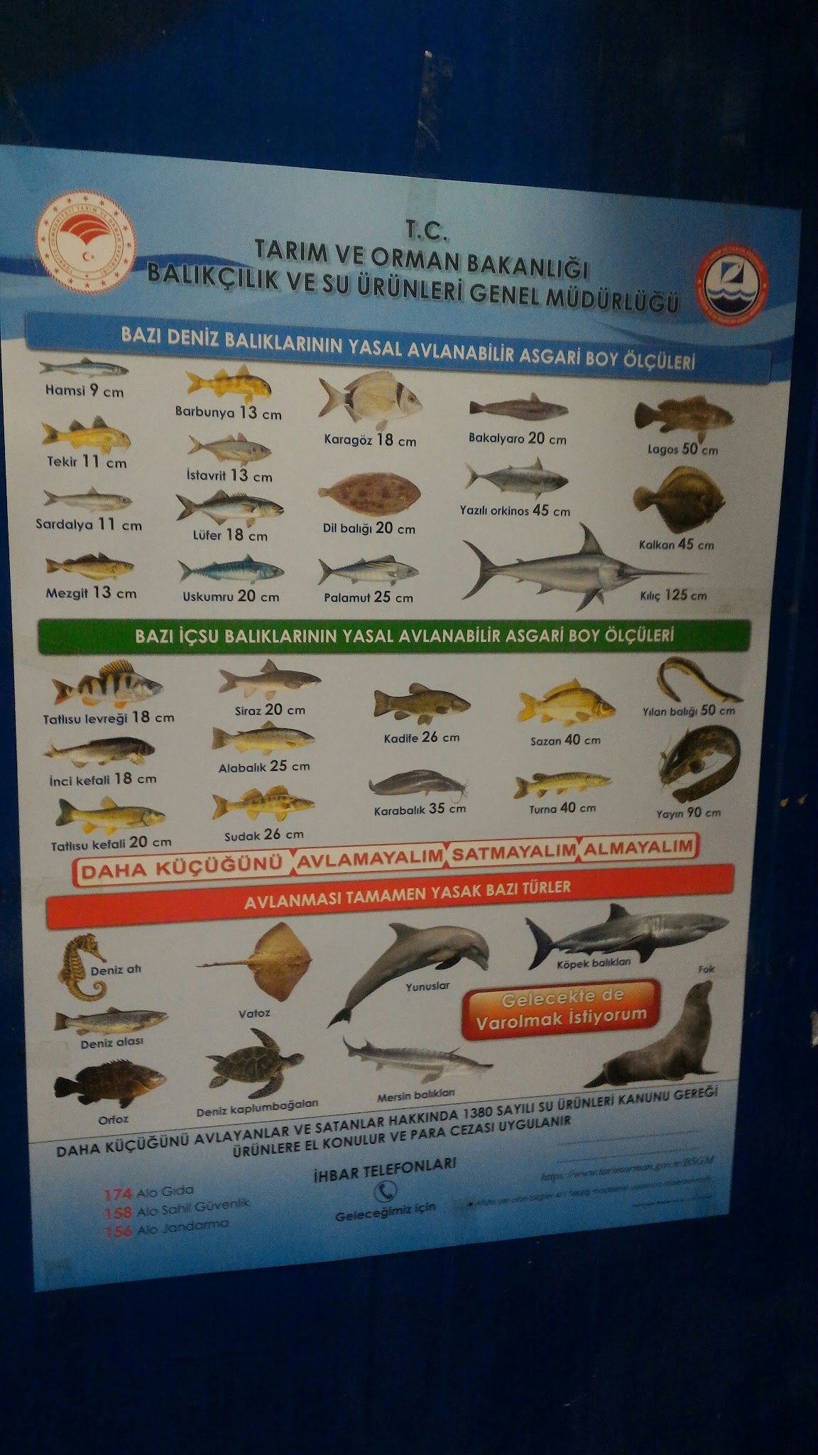 52 Karadeniz Balık Lokantası - Balık Satış - Manav