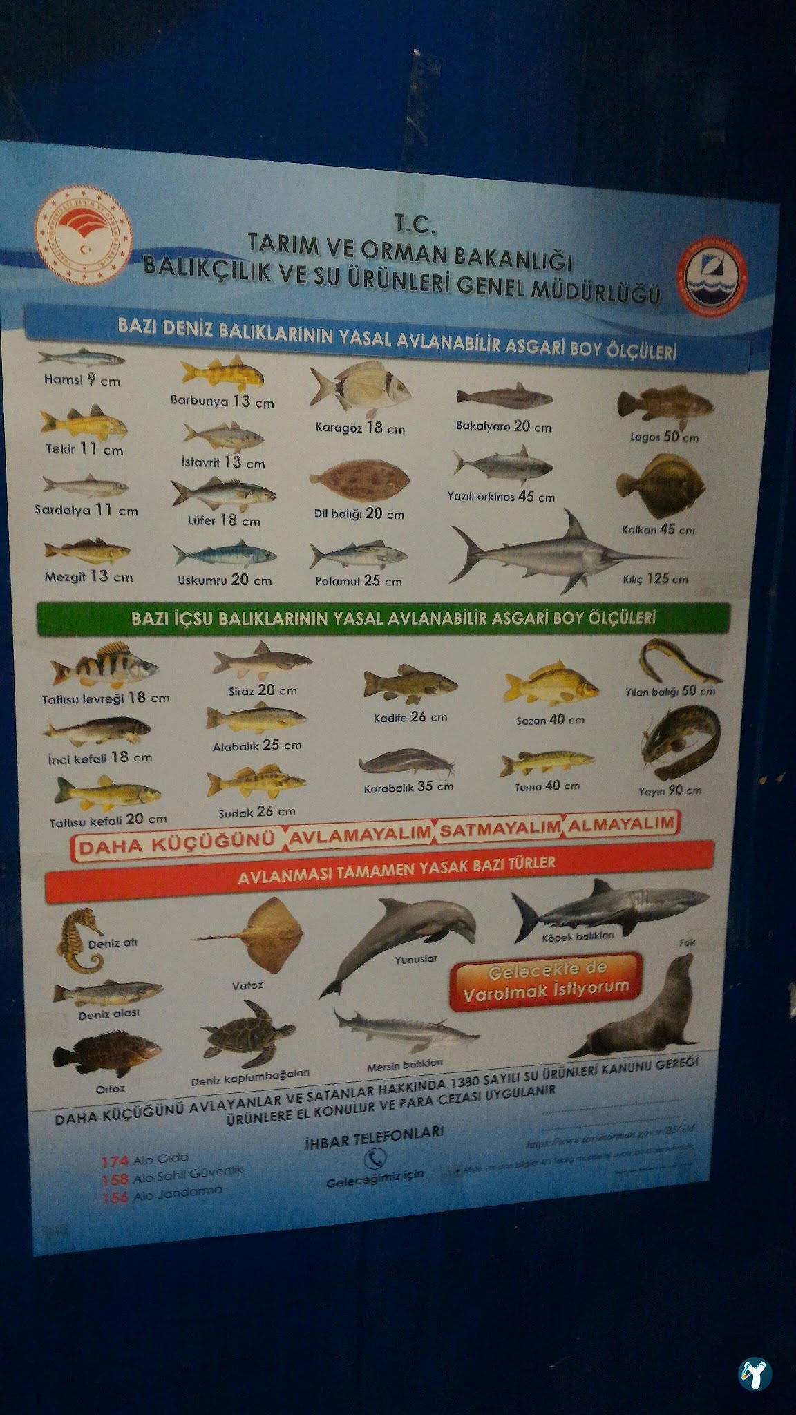 52 Karadeniz Balık Lokantası - Balık Satış - Manav
