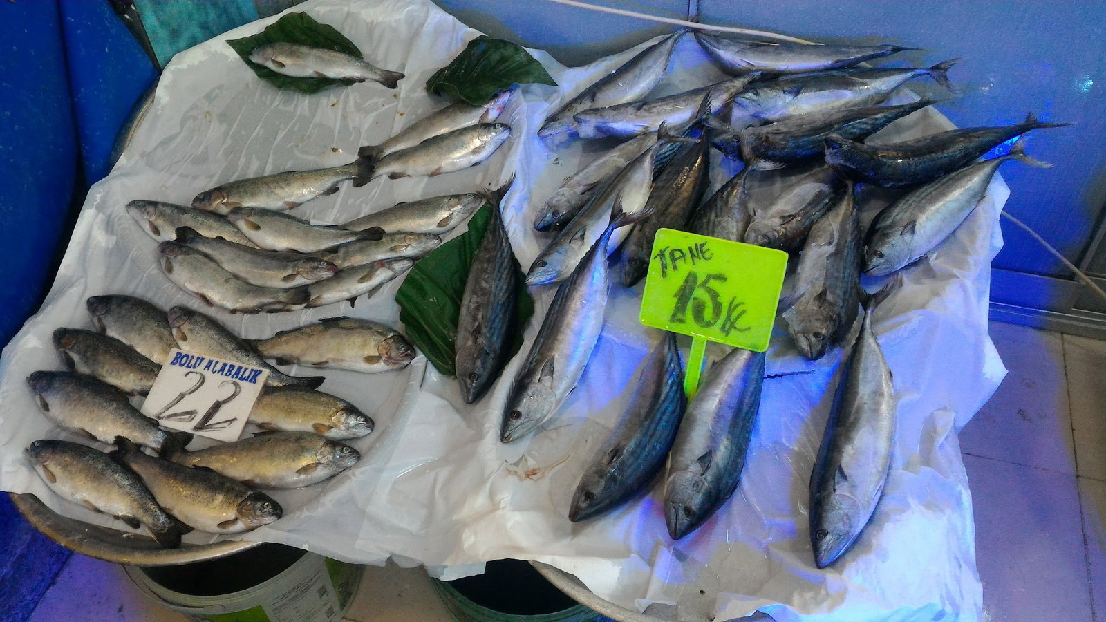 52 Karadeniz Balık Lokantası - Balık Satış - Manav