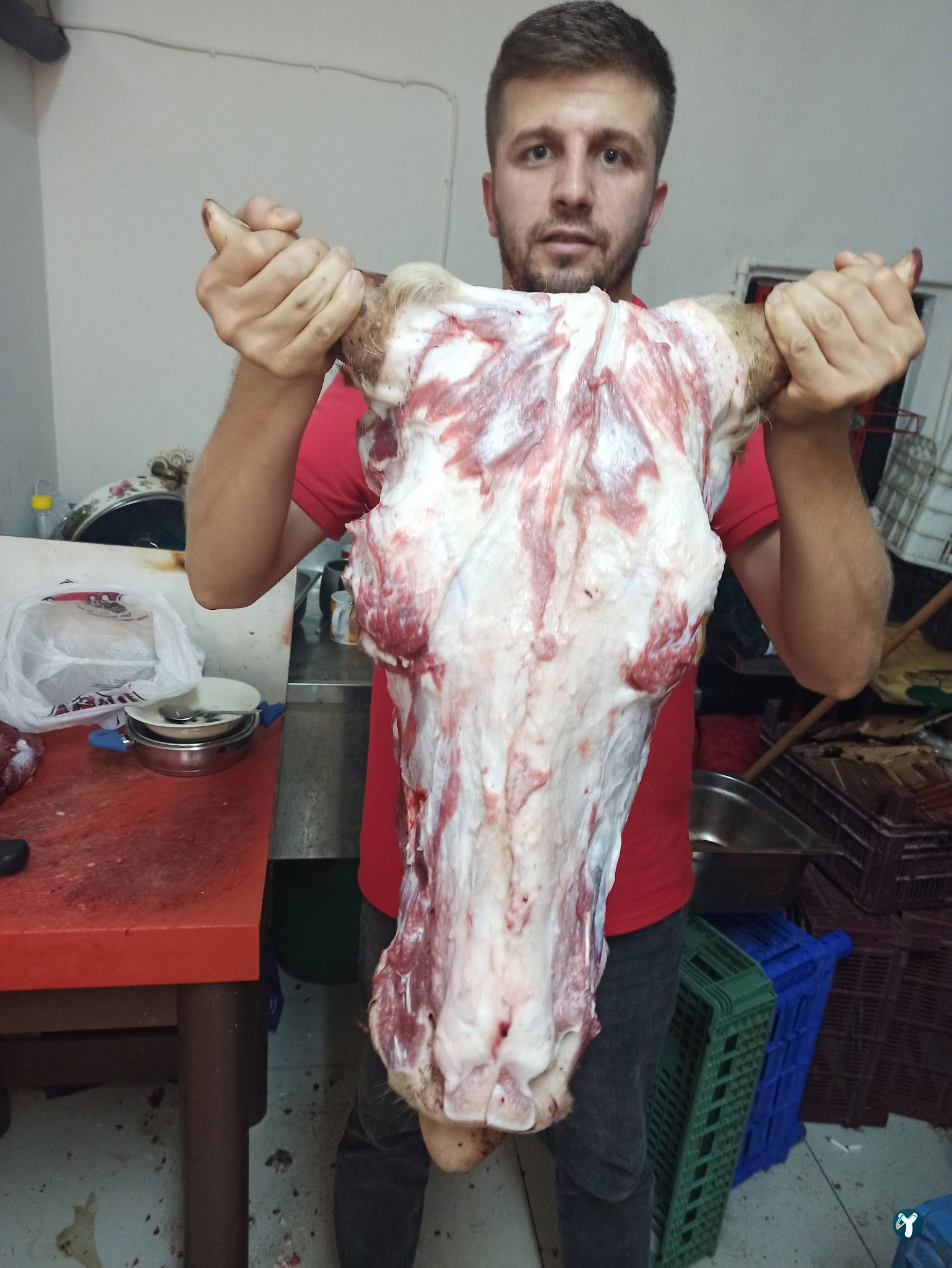 Suruç Ocakbaşı