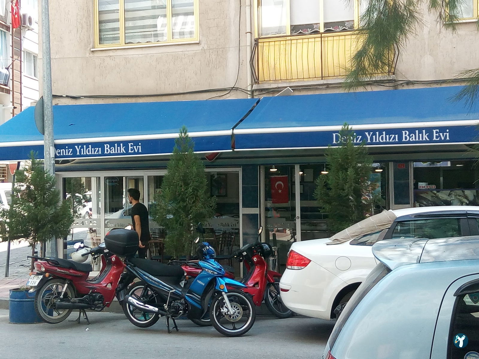 Deniz Yildizi
