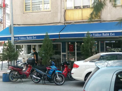 Deniz Yildizi resimleri