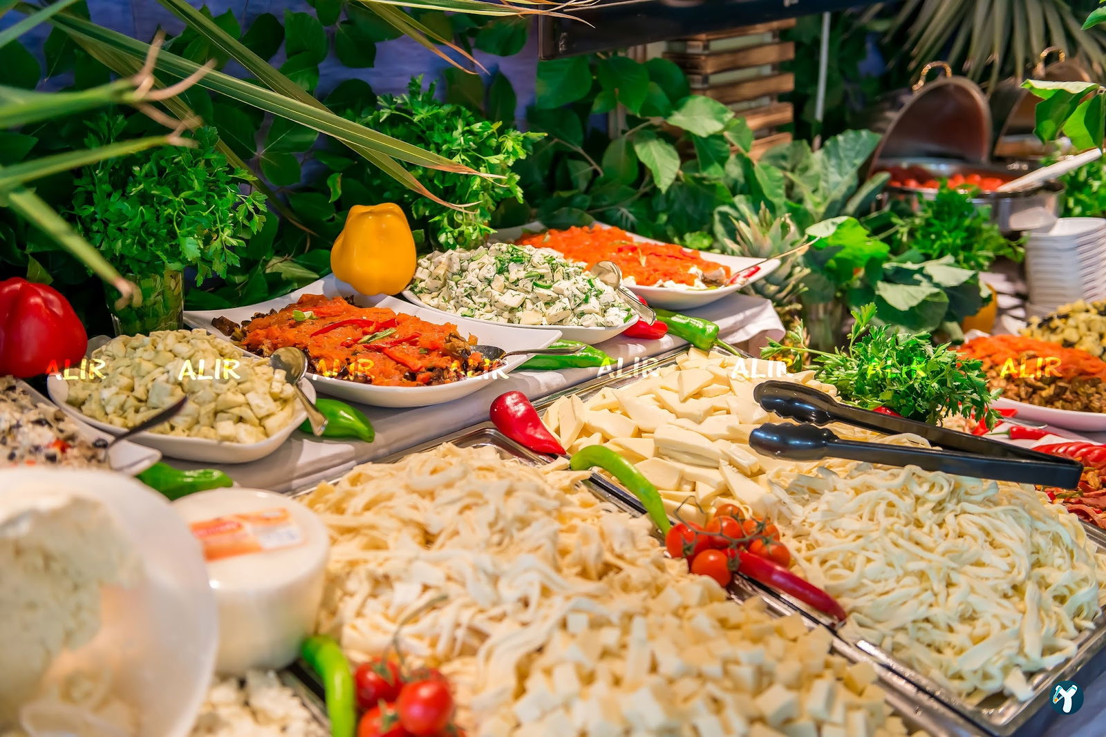 Alir Cafe | Restaurant