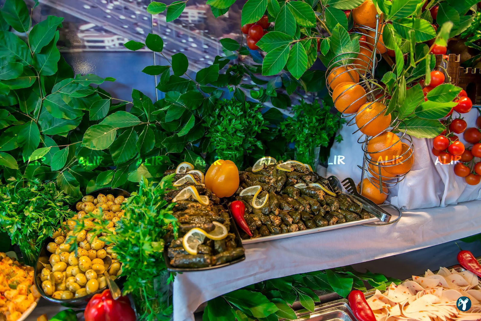 Alir Cafe | Restaurant