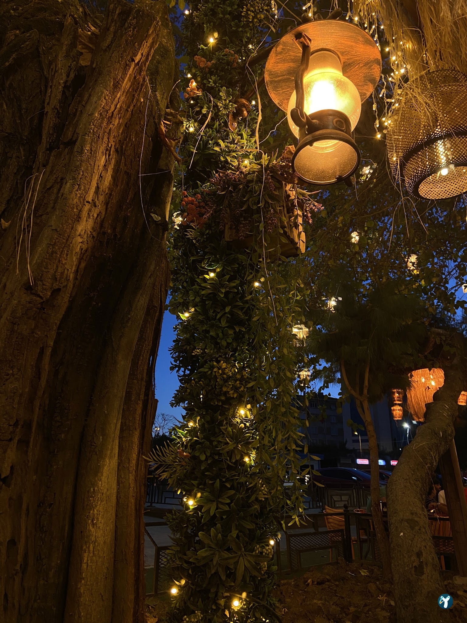 Alir Cafe | Restaurant