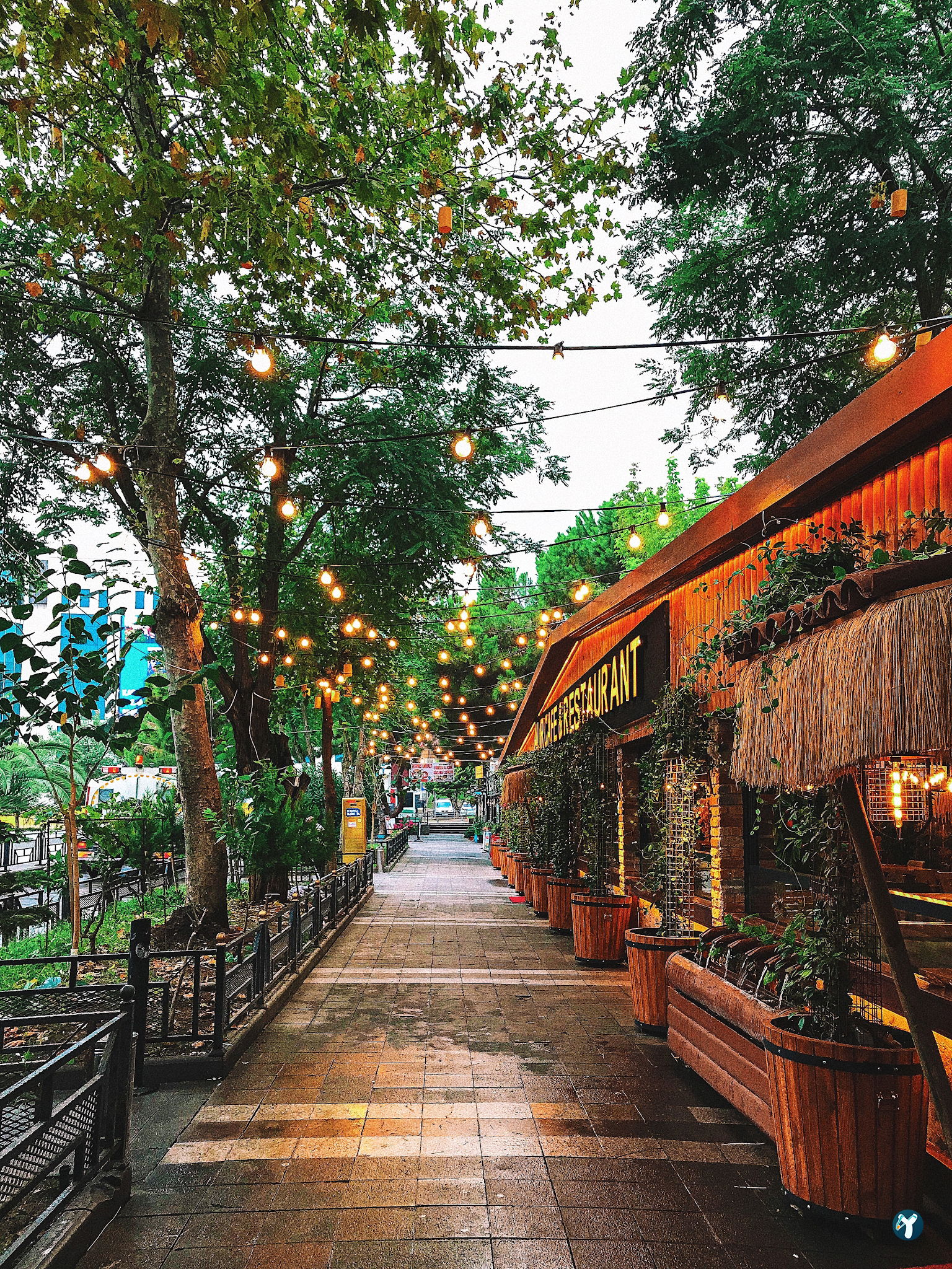 Alir Cafe | Restaurant