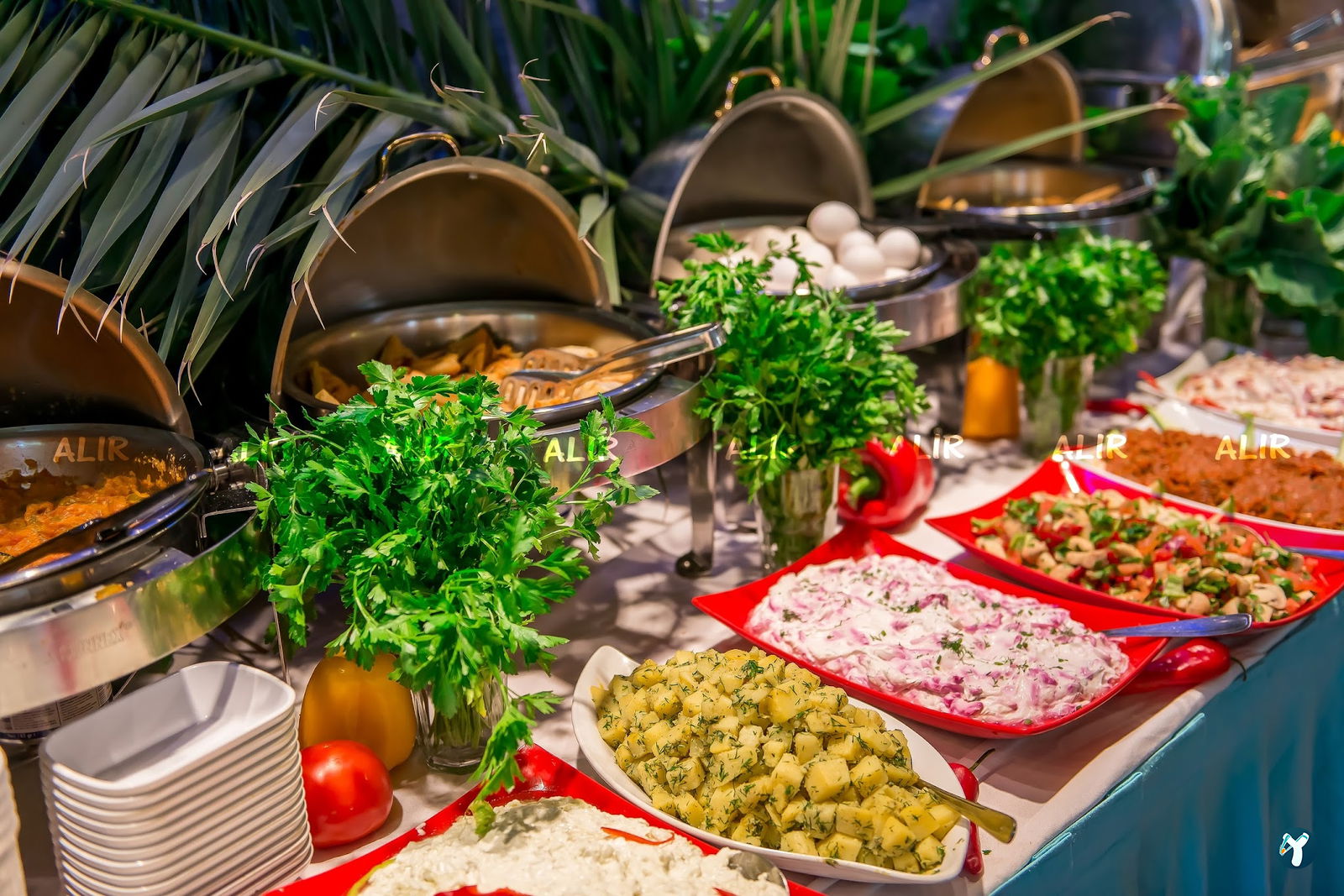 Alir Cafe | Restaurant
