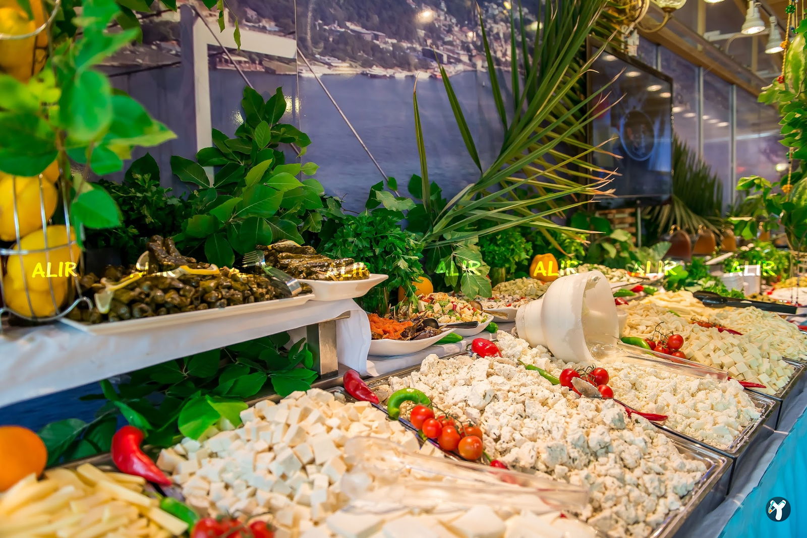 Alir Cafe | Restaurant