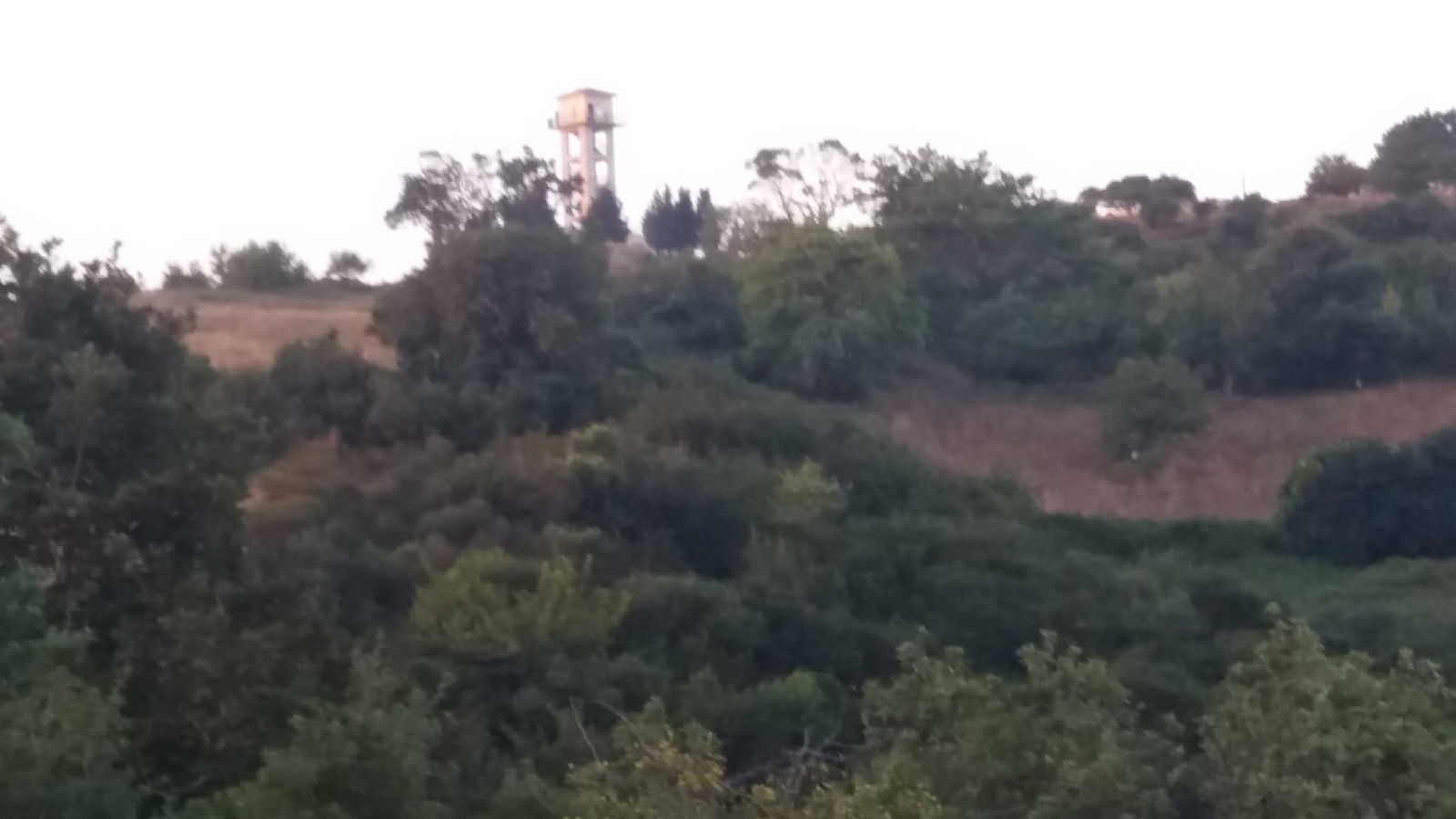 Historic Village Coffee Cebeci