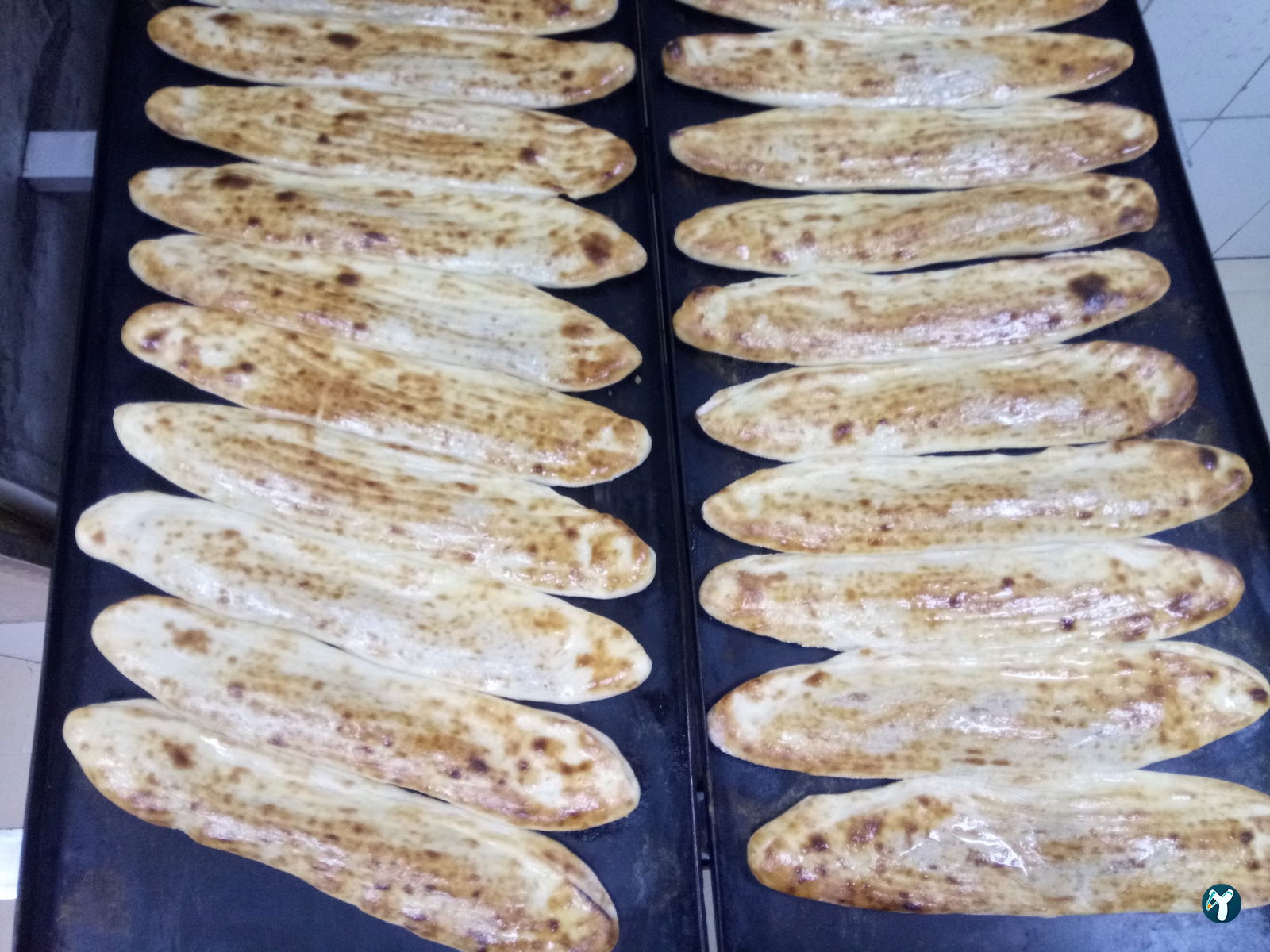Dem Kır Pidesi