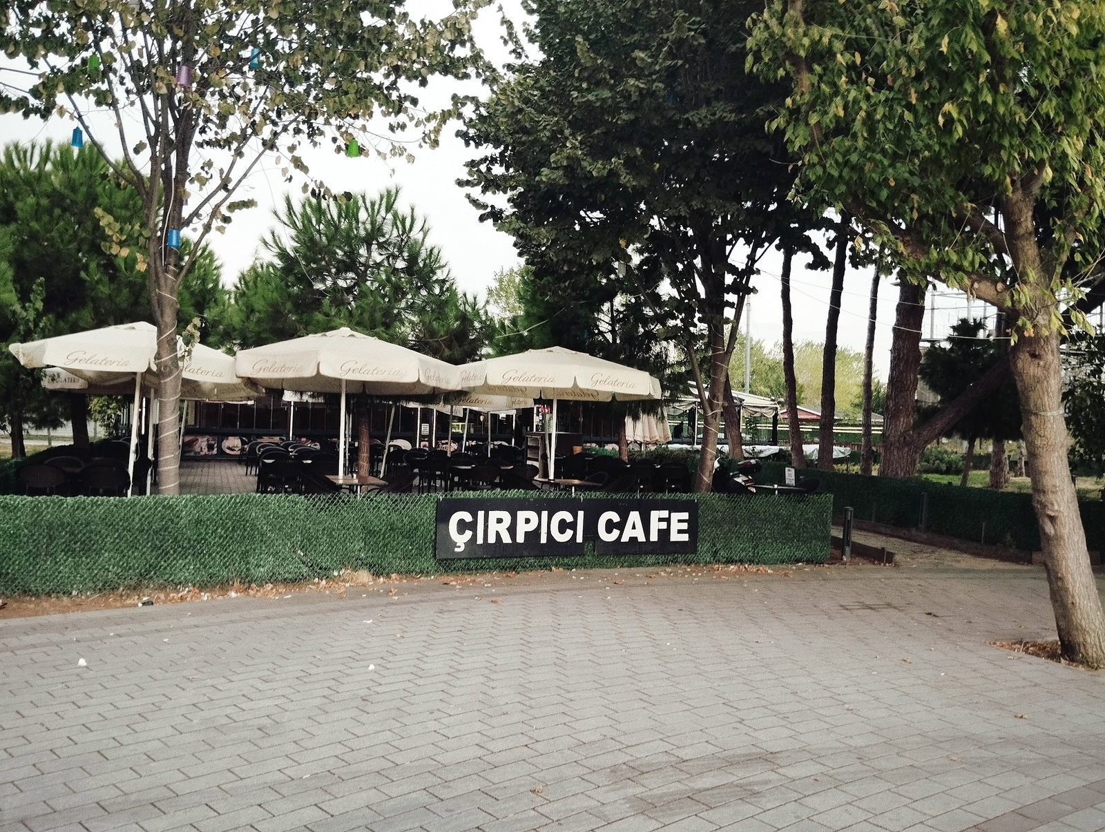 Çırpıcı Kafe