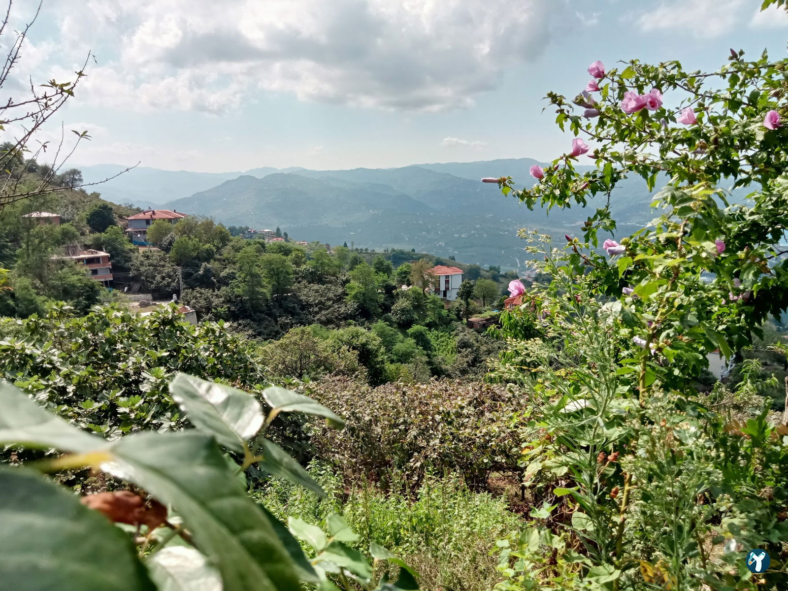 Boztepe Doğa Restoran