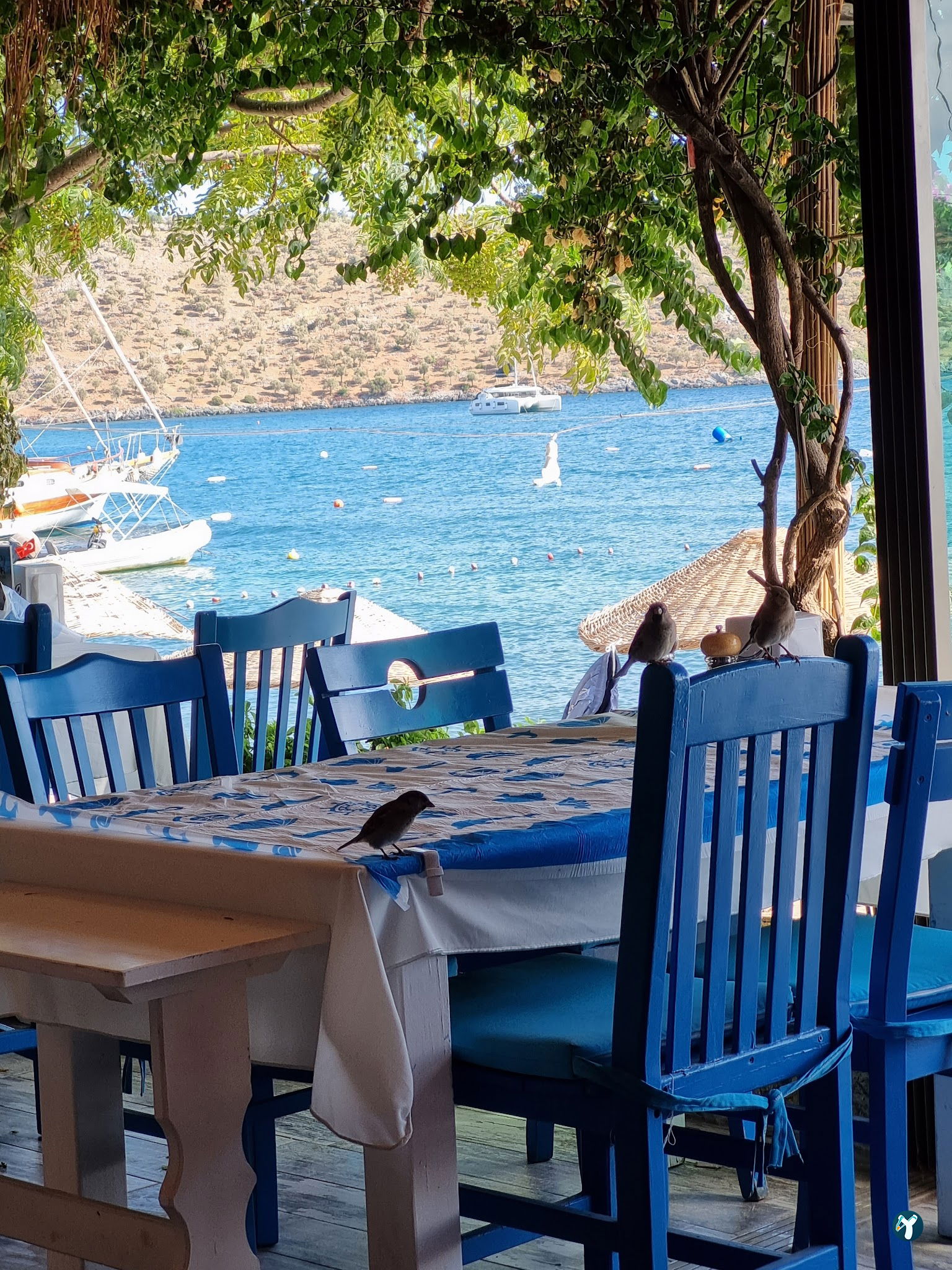 Rosemary Restaurant Otel Çökertme