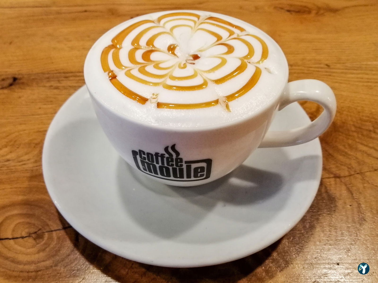Coffee Moule