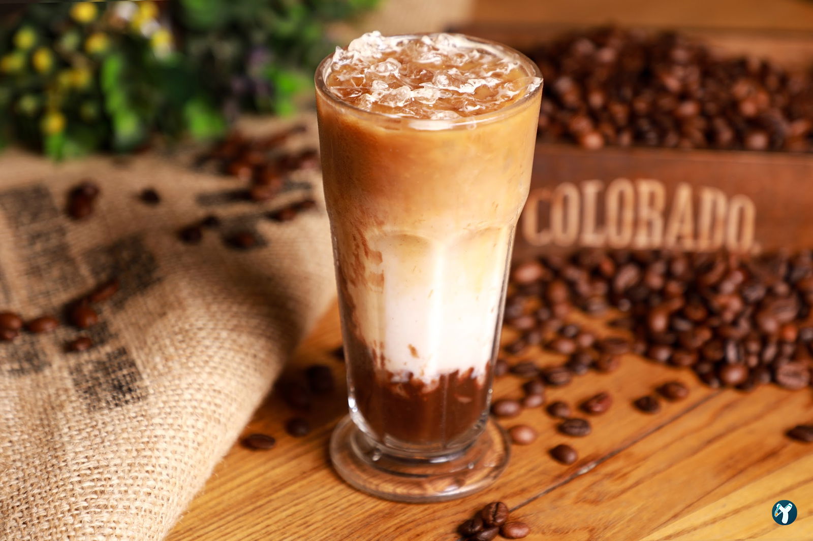 Coffee Moule