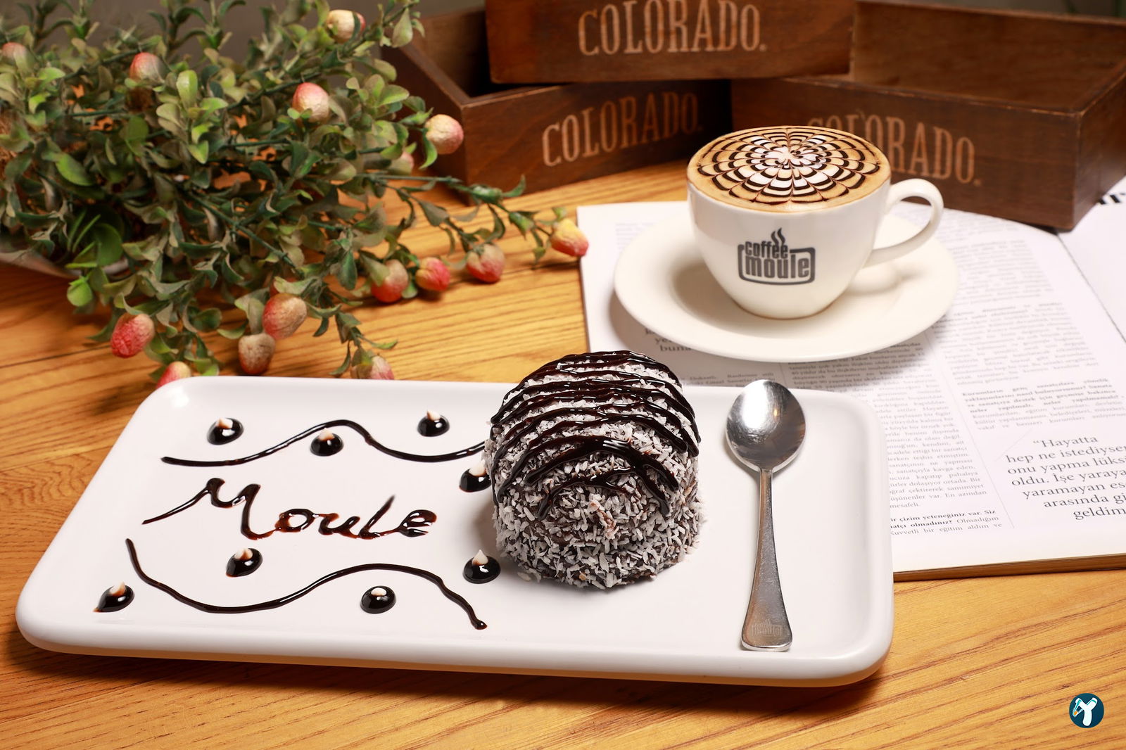 Coffee Moule