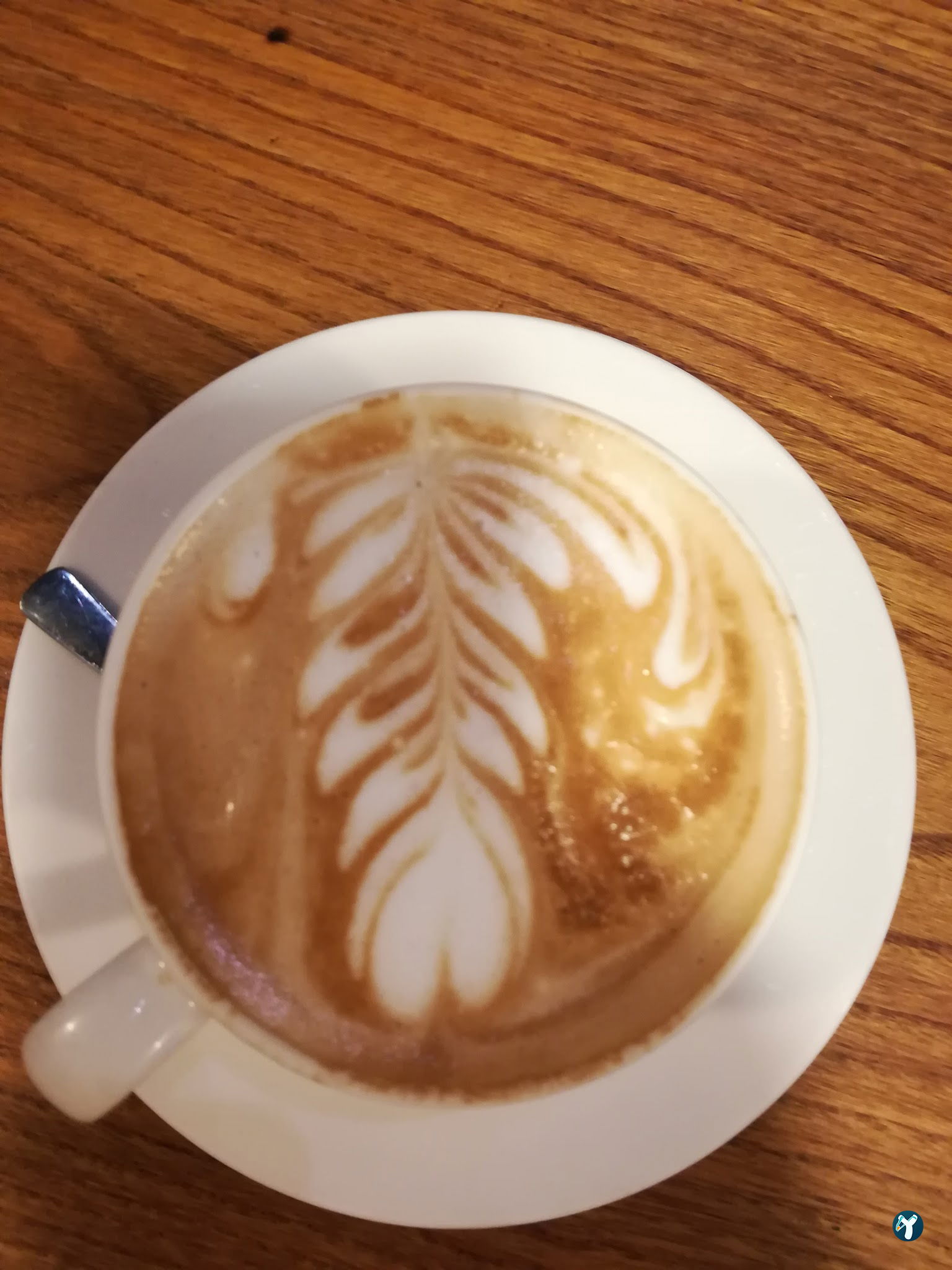Coffee Moule