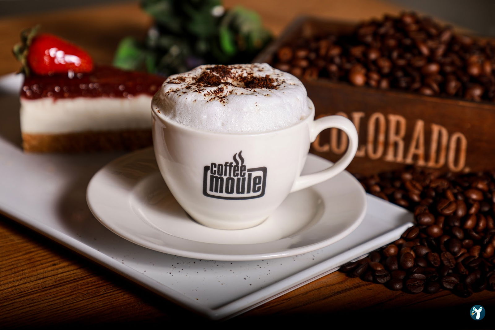 Coffee Moule