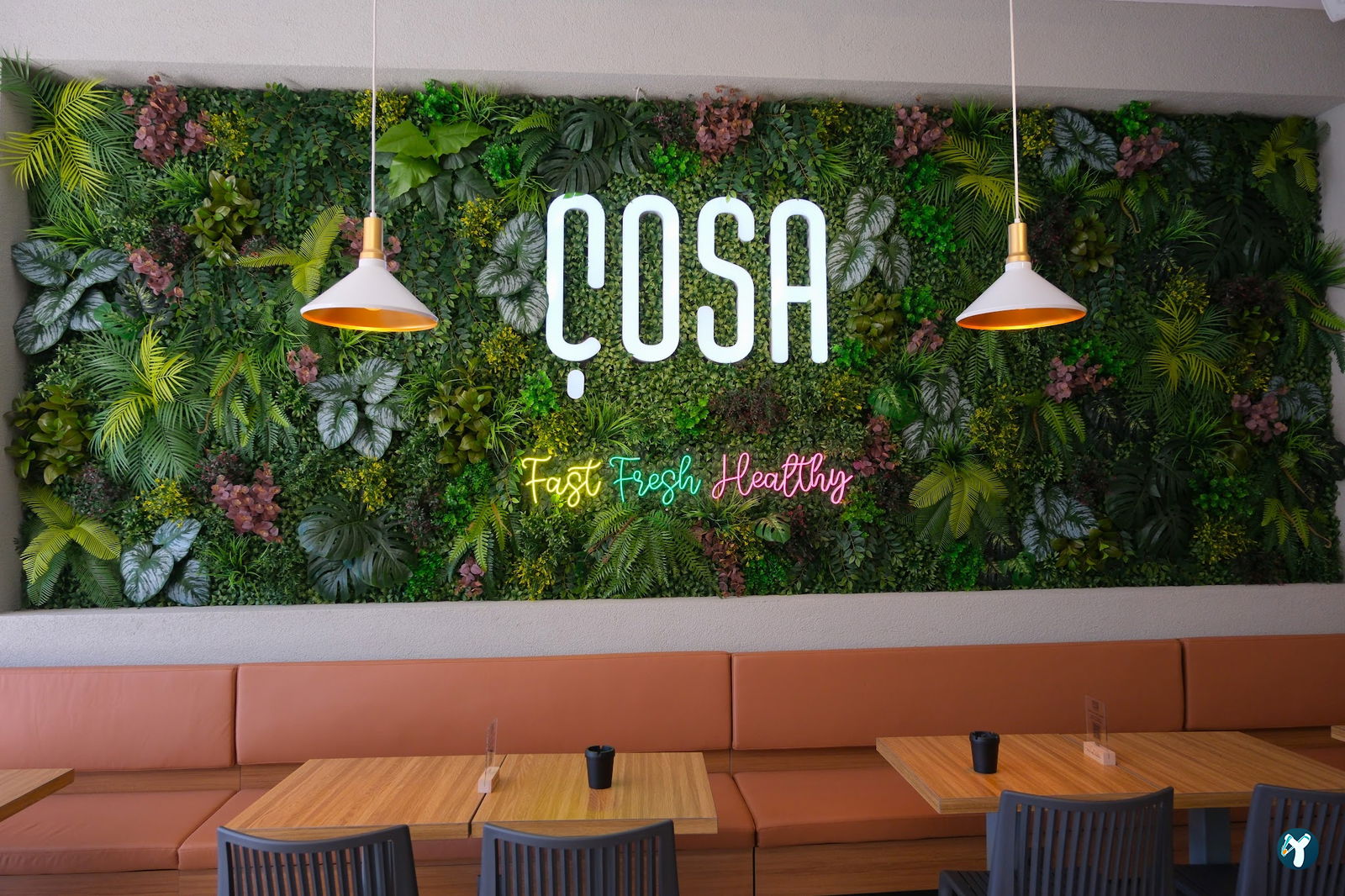 Çosa