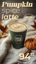 Çosa