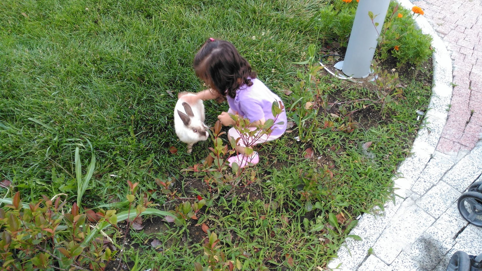 Beylikdüzü Belediyesi Kirlangiç Yaşam Alanları Yakuplu Sosyal Tesisleri