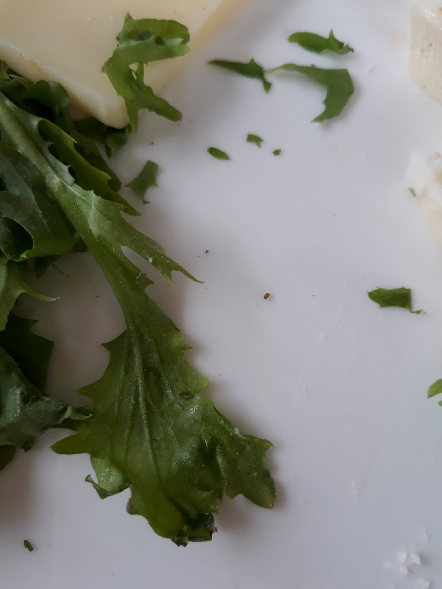 Beylikdüzü Belediyesi Kirlangiç Yaşam Alanları Yakuplu Sosyal Tesisleri