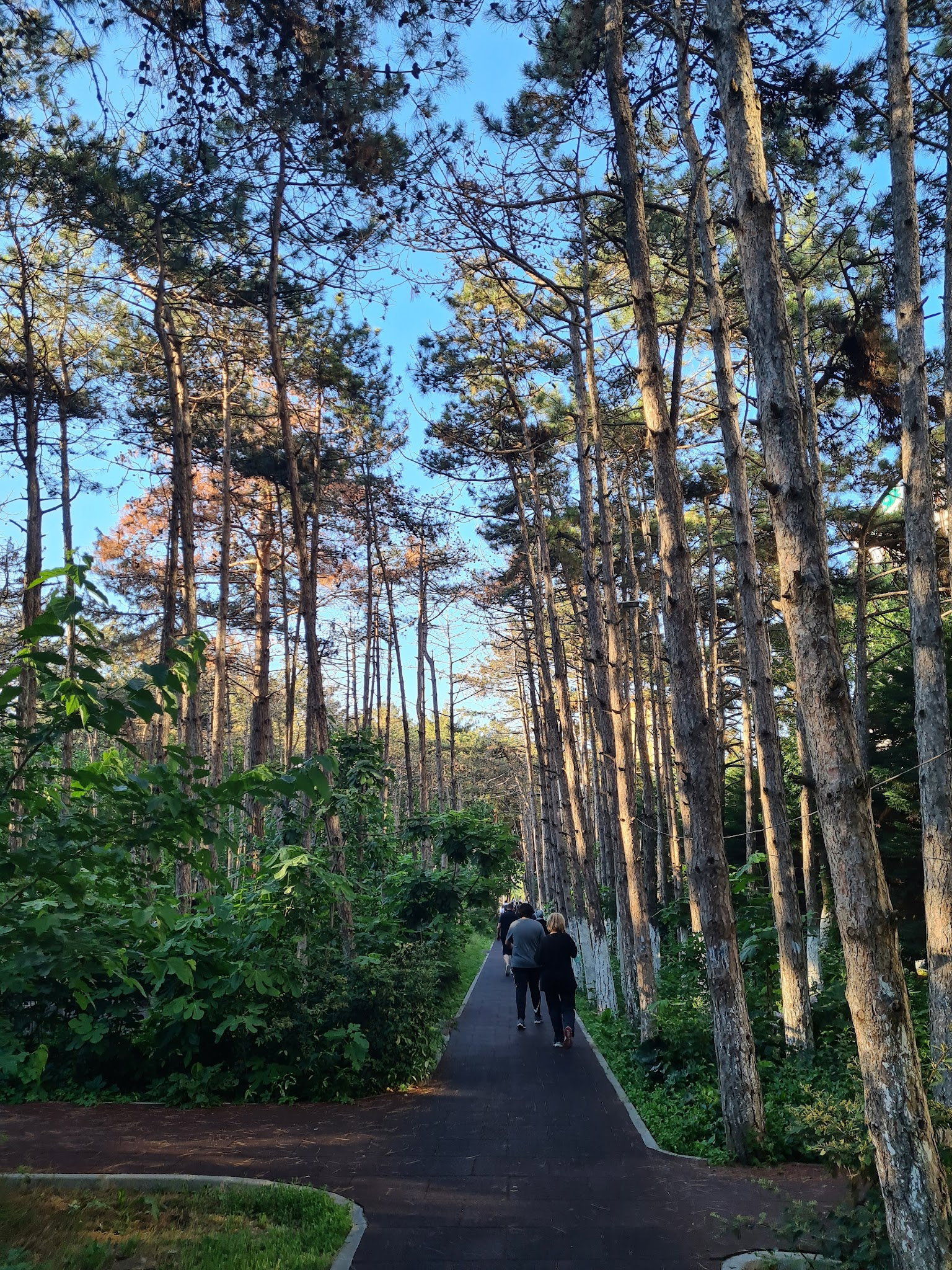 Beylikdüzü Belediyesi Kirlangiç Yaşam Alanları Yakuplu Sosyal Tesisleri