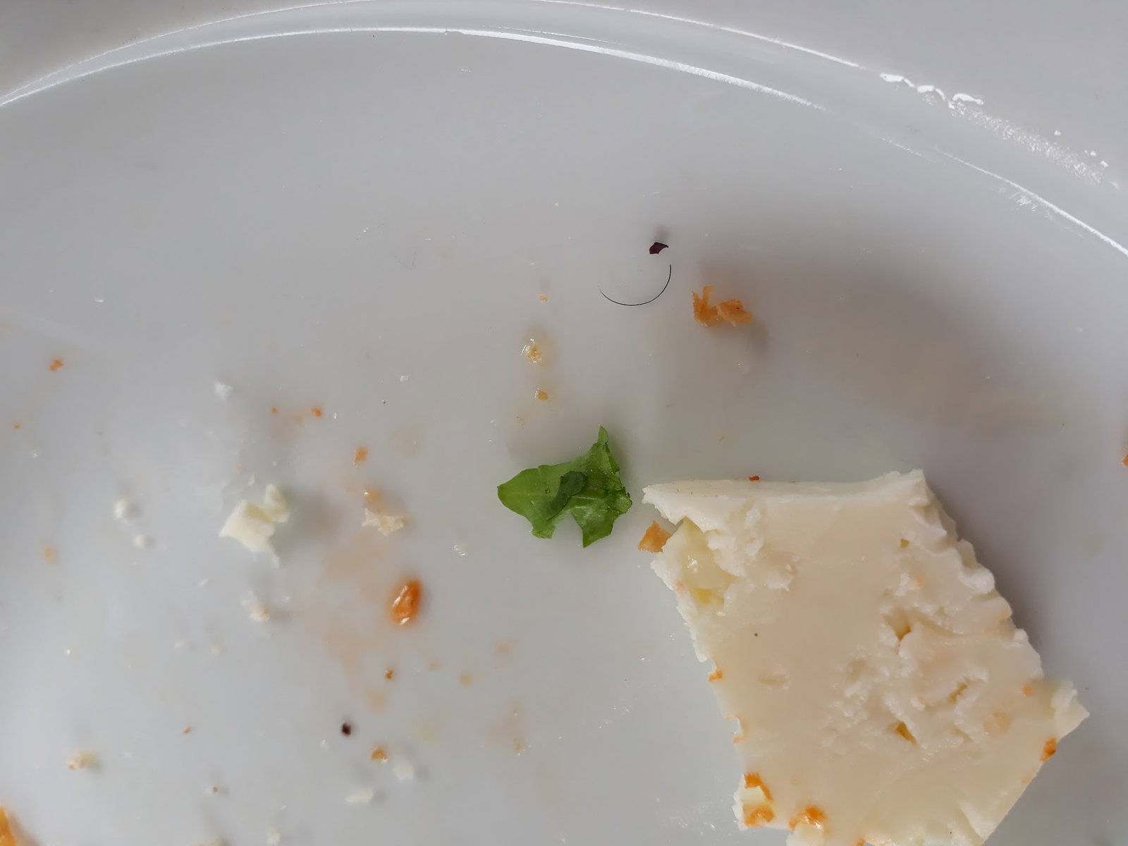 Beylikdüzü Belediyesi Kirlangiç Yaşam Alanları Yakuplu Sosyal Tesisleri