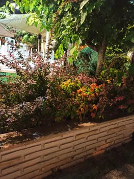Beylikdüzü Belediyesi Kirlangiç Yaşam Alanları Yakuplu Sosyal Tesisleri resimleri