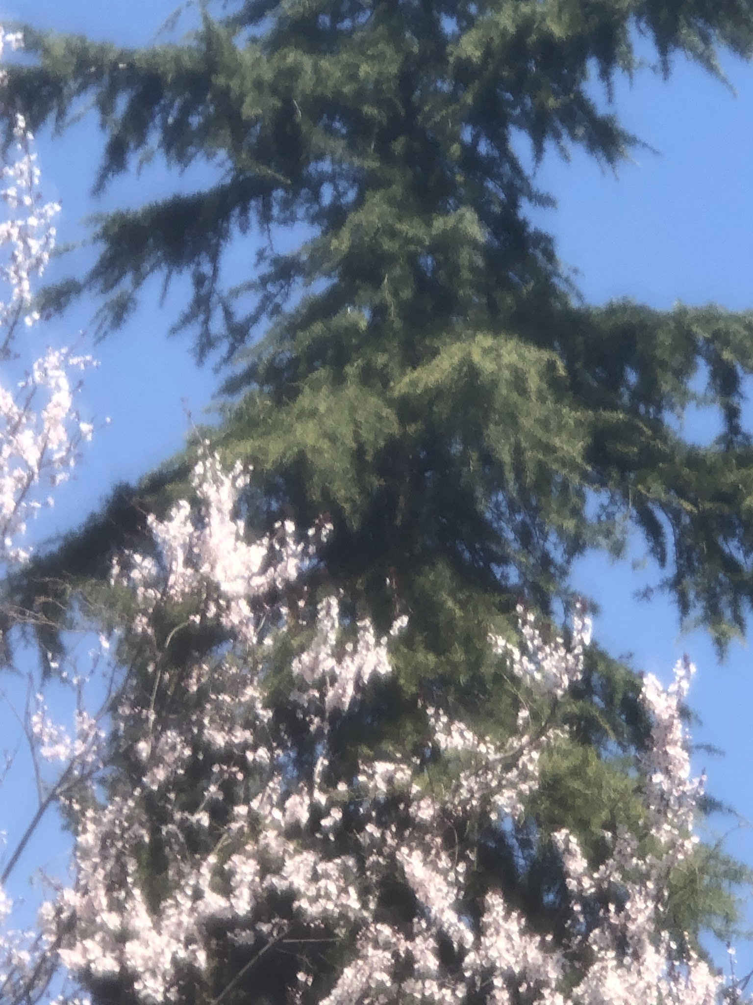 Beylikdüzü Belediyesi Kirlangiç Yaşam Alanları Yakuplu Sosyal Tesisleri