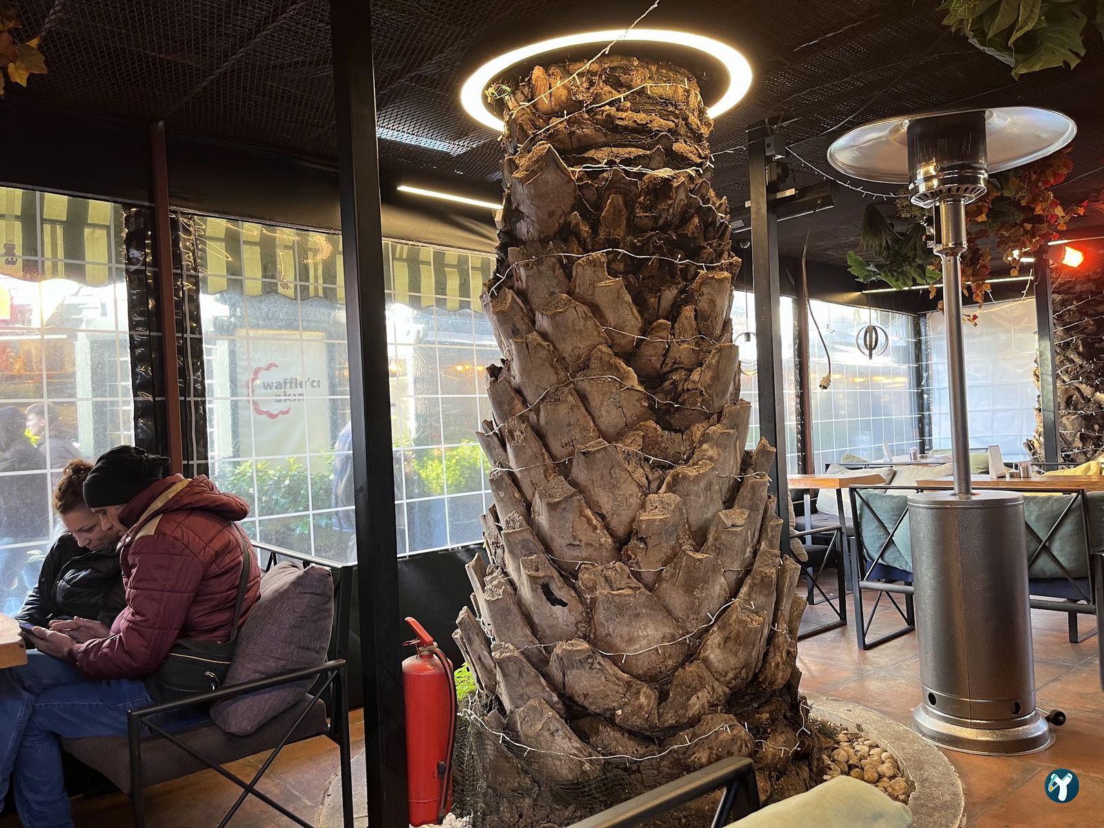 Palmiye Kartal Cafe