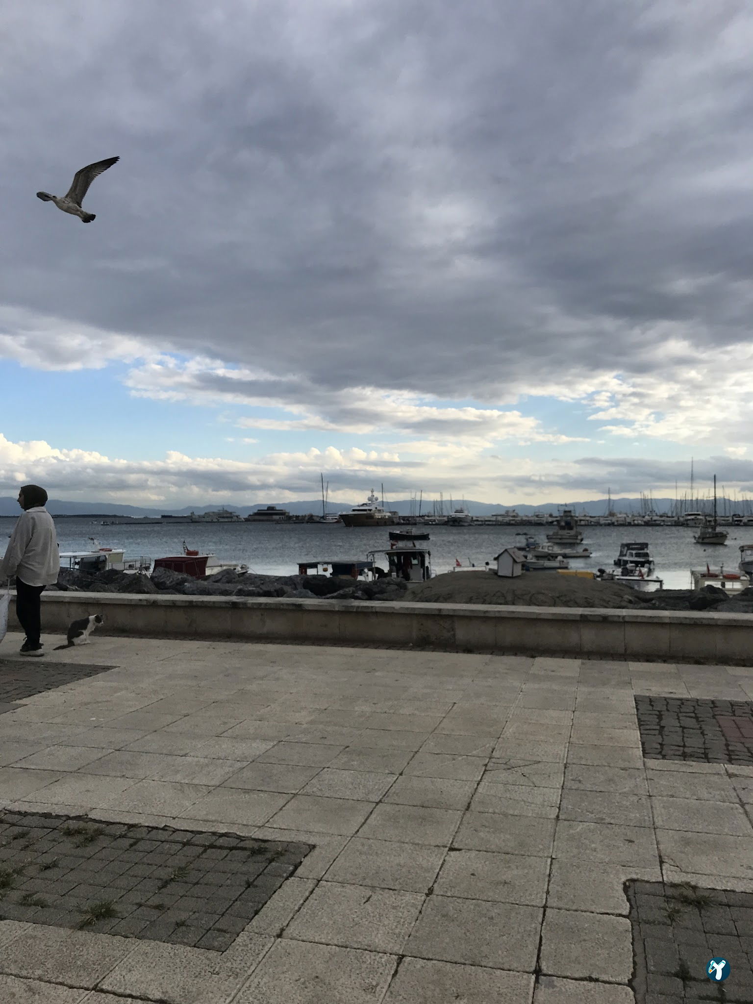 Tebessüm Cafe Pendik