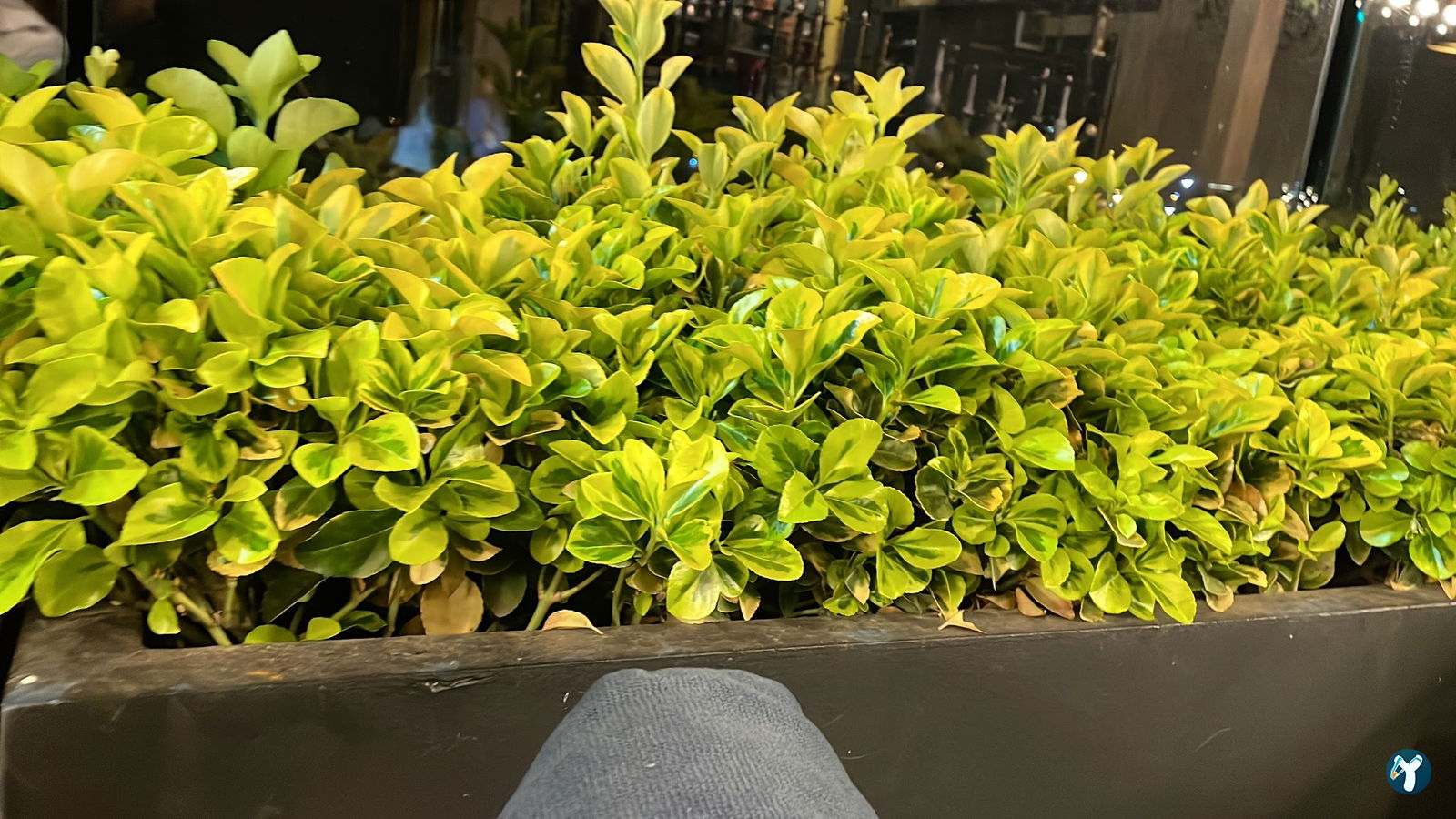Tebessüm Cafe Pendik