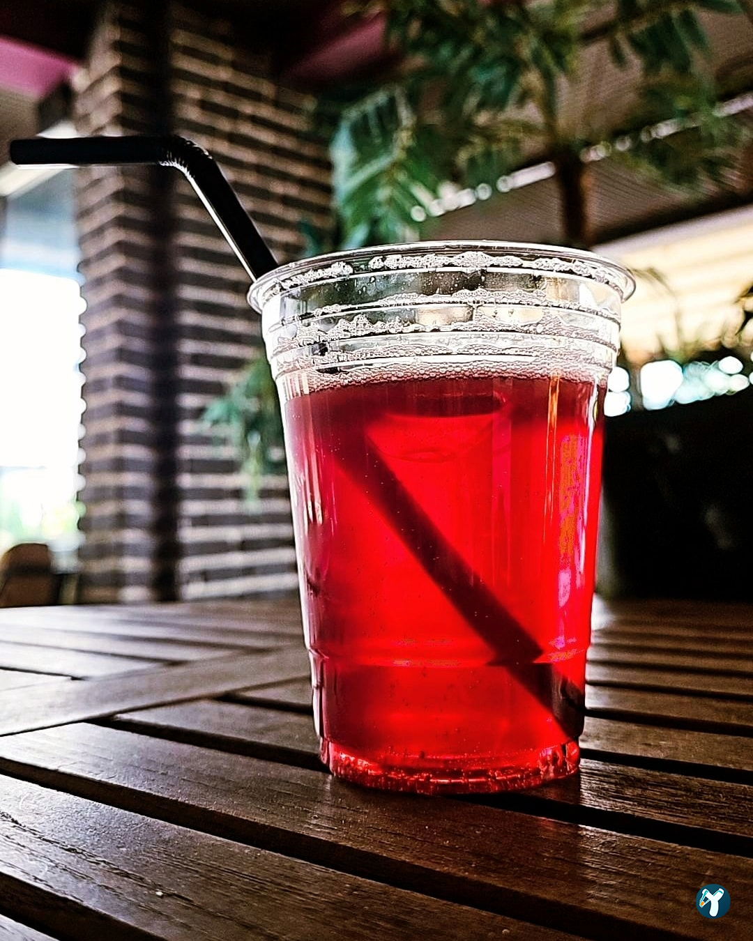 Coffee Lucca Hookah