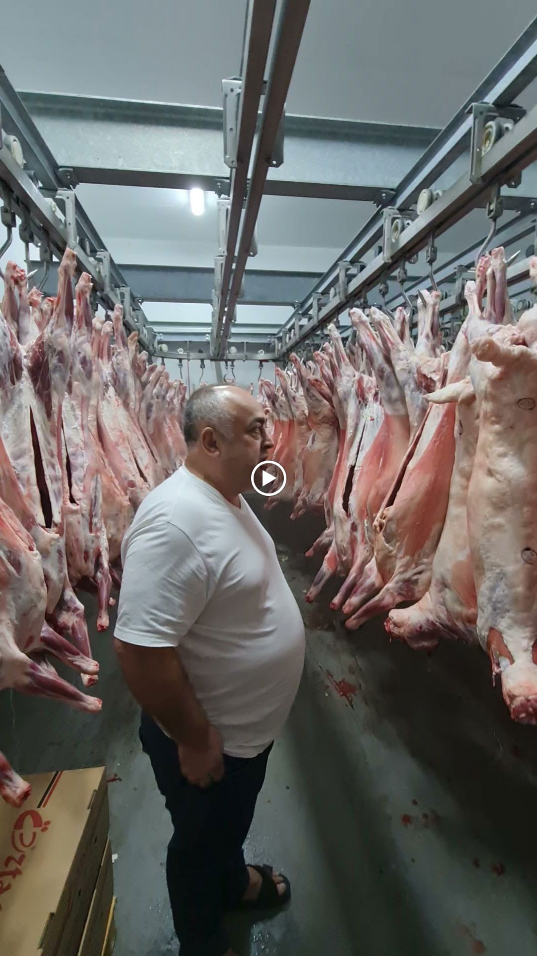 Nasreddin Et Ve Tandır