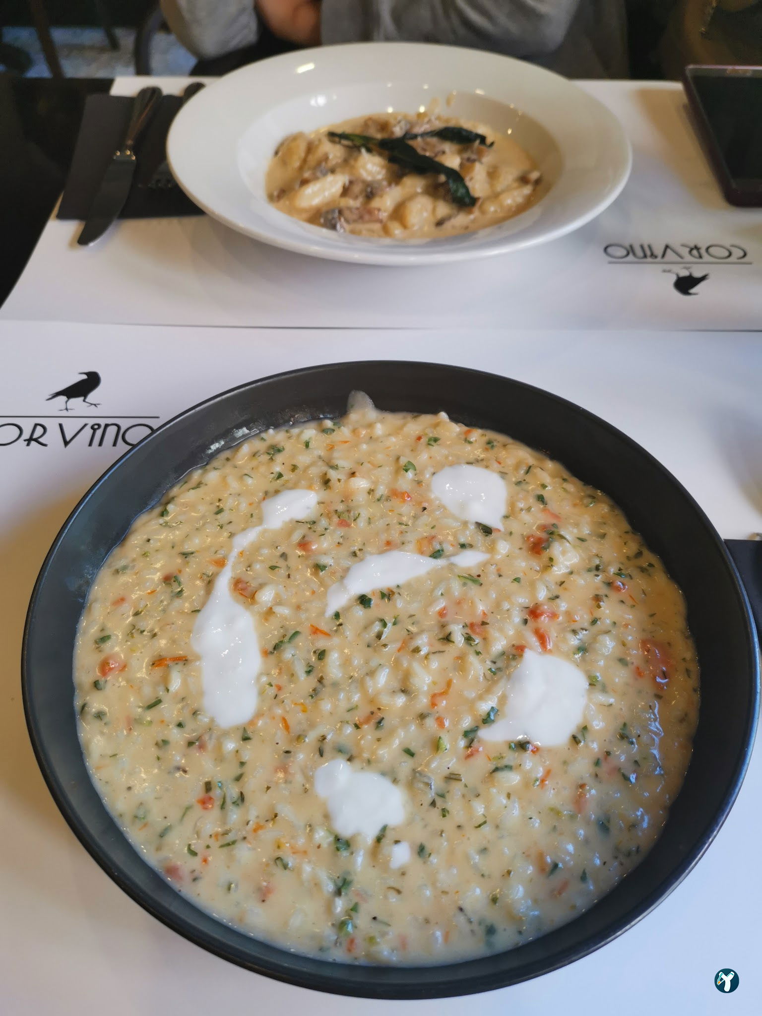 Corvino
