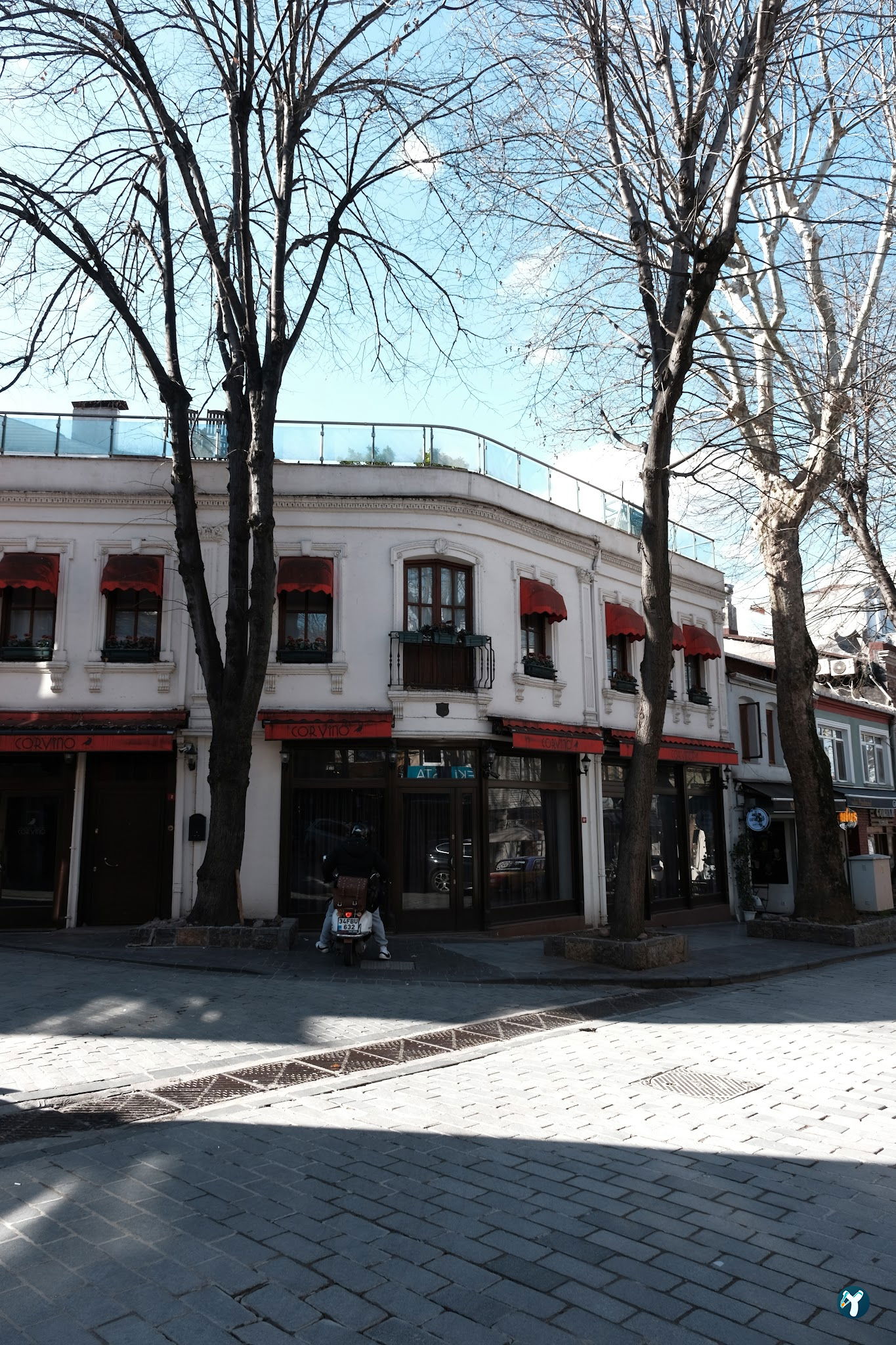 Corvino