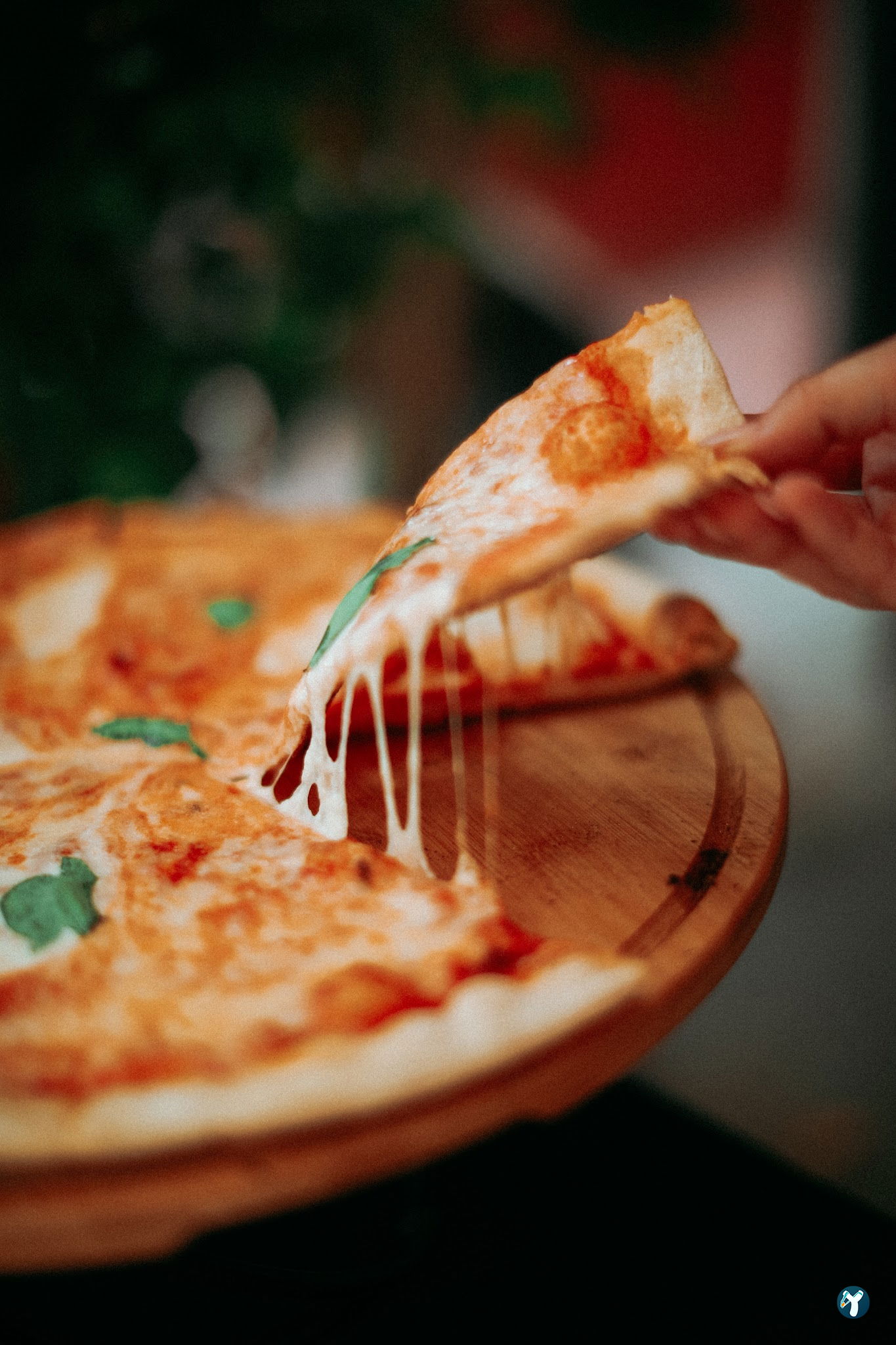 La Favola Pizzeria